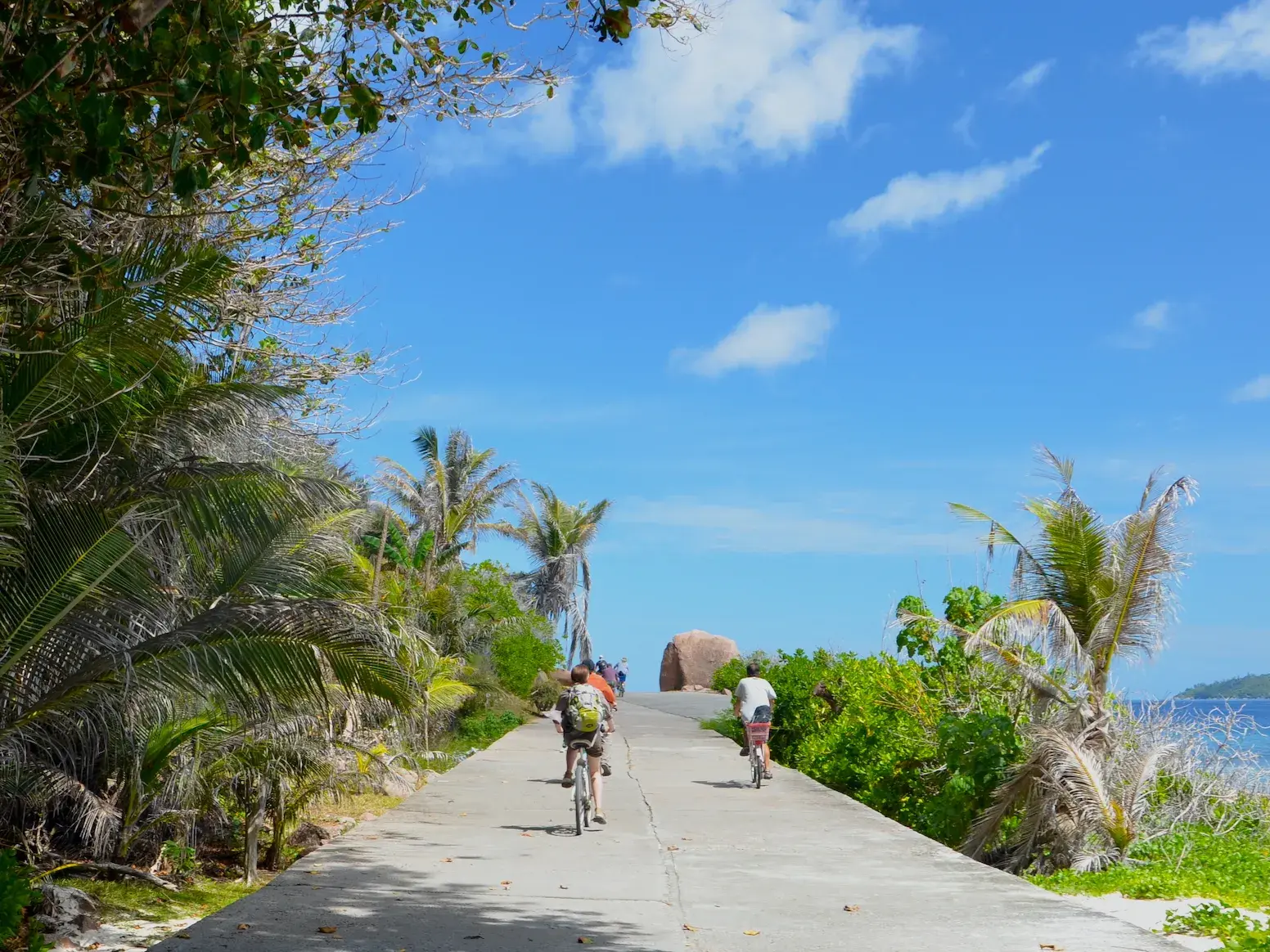 Kleine Hauser-Reisegruppe bei einer Radtour auf dem Küstenweg von La Digue, vorbei an Palmen und dem türkisen Meer.