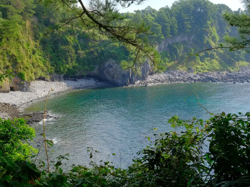 Blick vom Jeju Olle Trail auf eine abgelegene Bucht mit Kieselstrand und türkisfarbenem Wasser, umgeben von grünen Klippen.