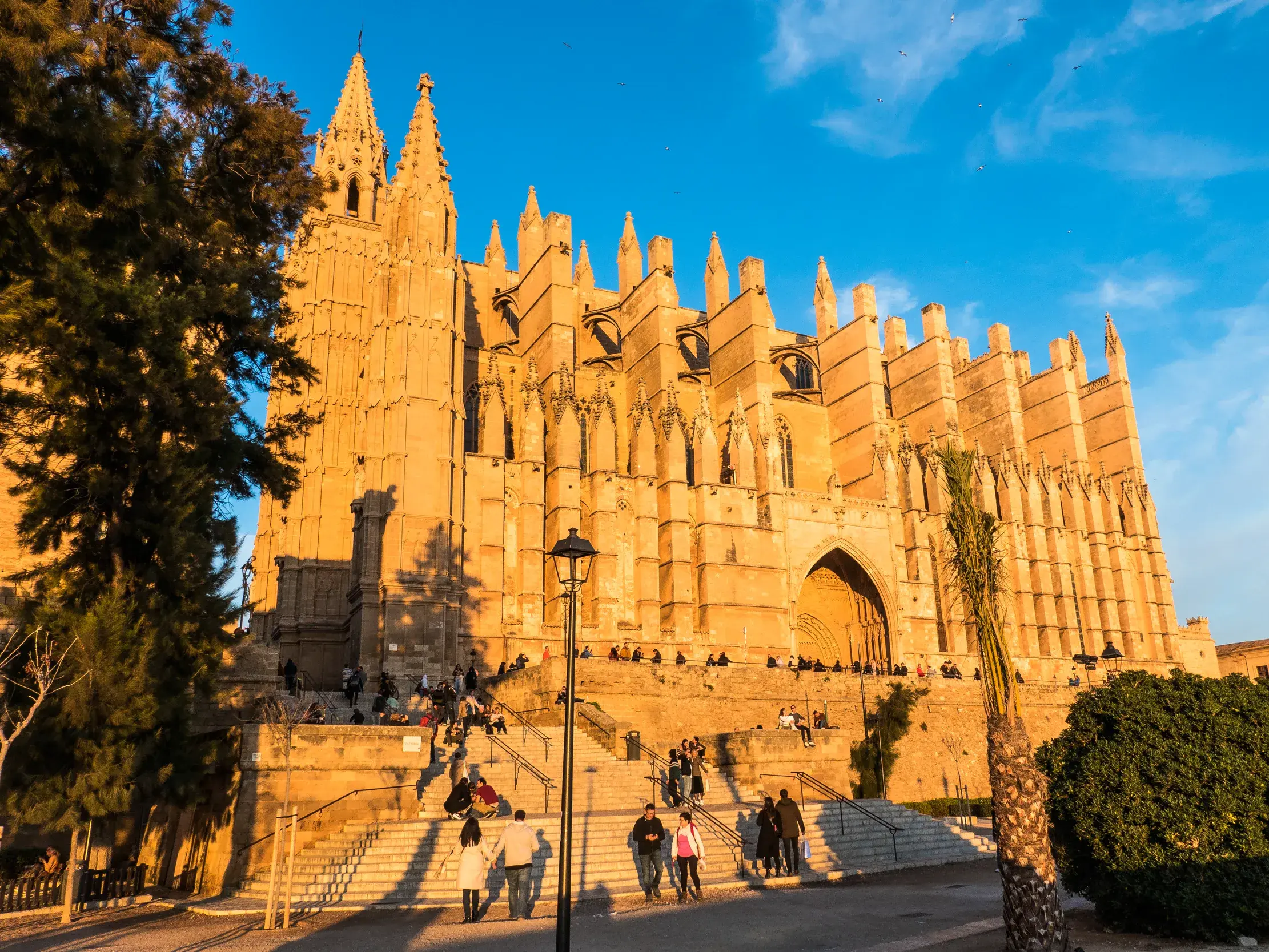 Die gotische Kathedrale La Seu in Palma de Mallorca im goldenen Abendlicht, mit Besuchern auf den Treppen davor.