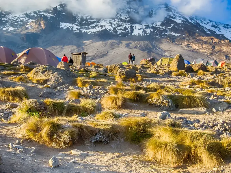 Trekking-Hochlager mit Zelten in der kargen Felswüste am Kilimanjaro, im Hintergrund der schneebedeckte Kibo-Gipfel.