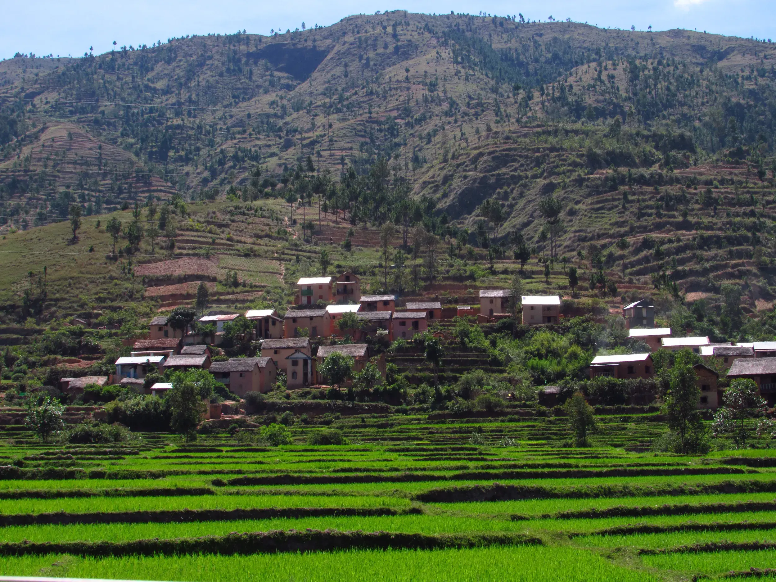 Ein Dorf mit traditionellen Lehmhäusern im Hochland von Madagaskar, umgeben von leuchtend grünen Reisterrassen.