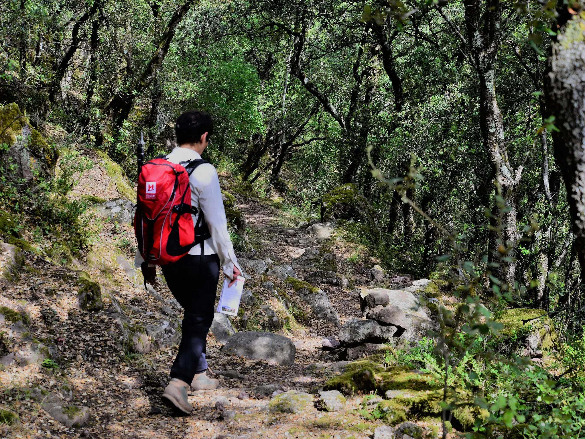 Eine Wanderin mit rotem Rucksack erkundet einen steinigen Waldpfad bei einer Trekkingreise in den Pyrenäen.