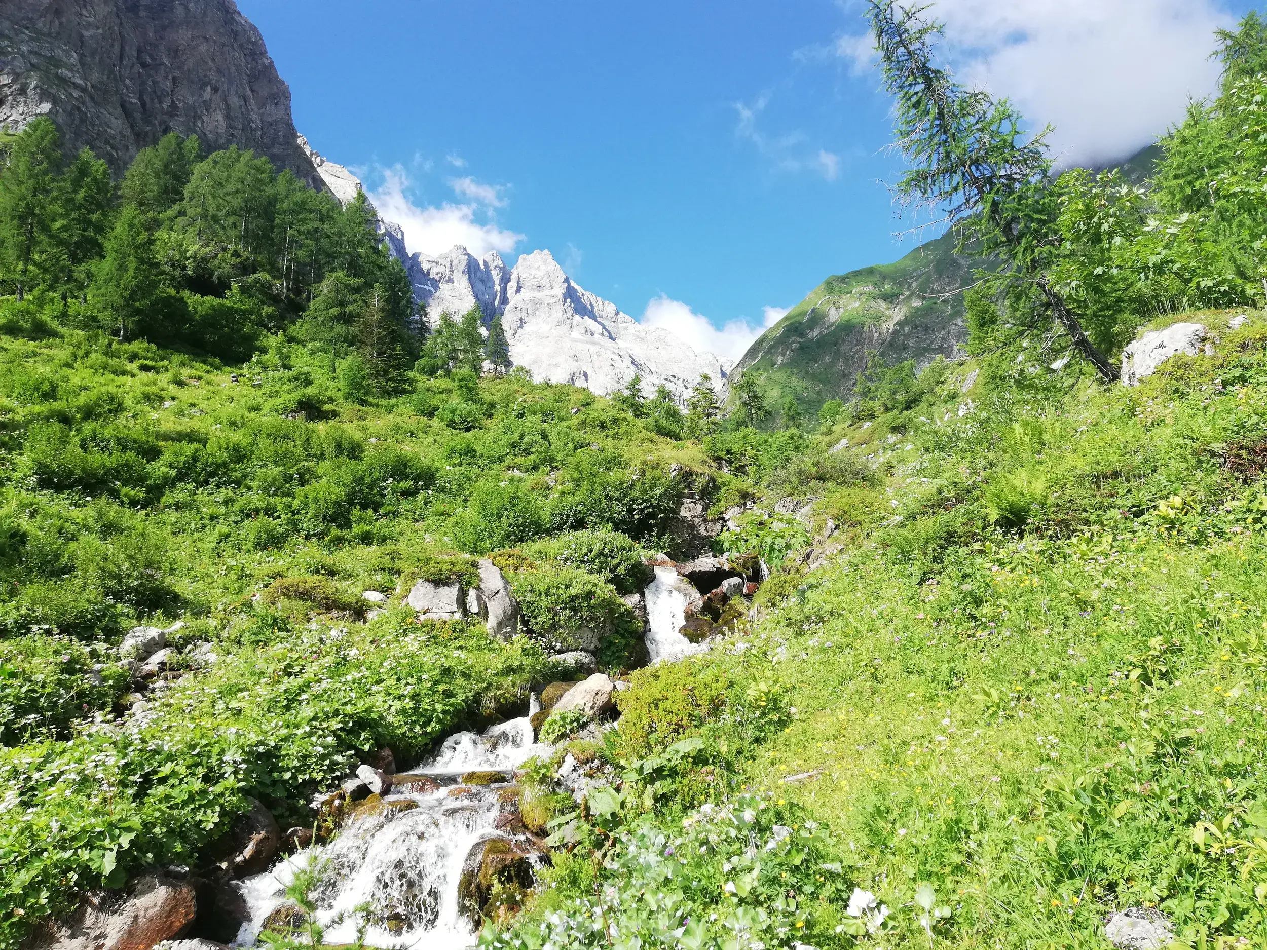 Ein kleiner Wasserfall an einem saftig grünen Berghang am Karnischen Höhenweg mit den schroffen Alpengipfeln im Hintergrund.