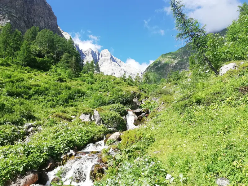 Ein wilder Bergbach fließt durch das ursprüngliche Almhochtal Val Fleons vor der Kulisse der Karnischen Alpen in Italien.