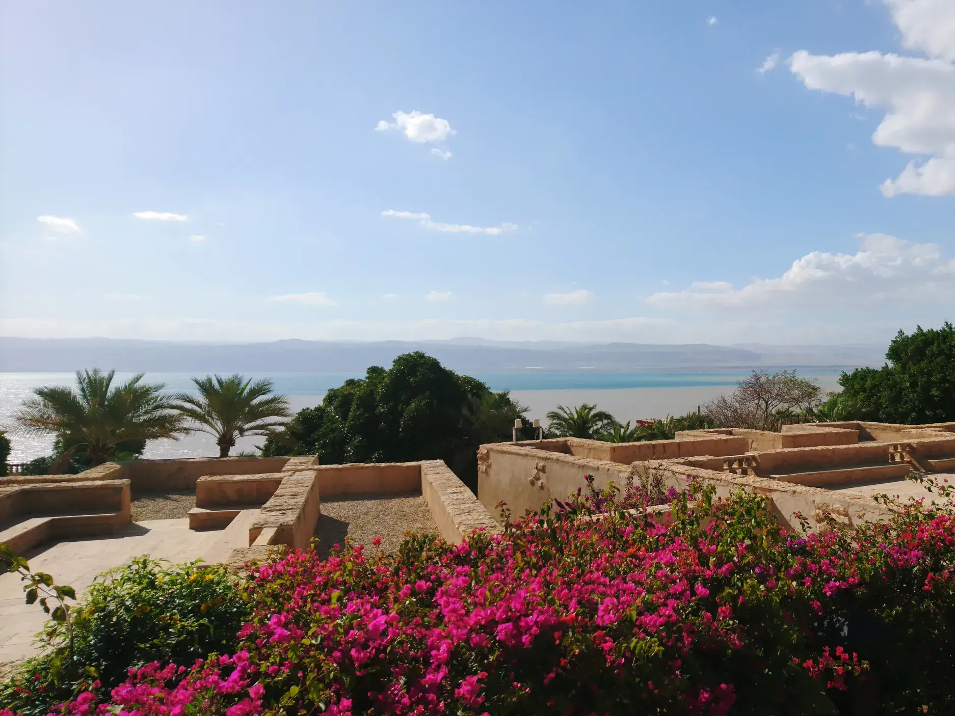 Entspannter Blick von einer Terrasse mit Bougainvillea über das Tote Meer, ein Highlight der Wanderreise durch Jordanien.
