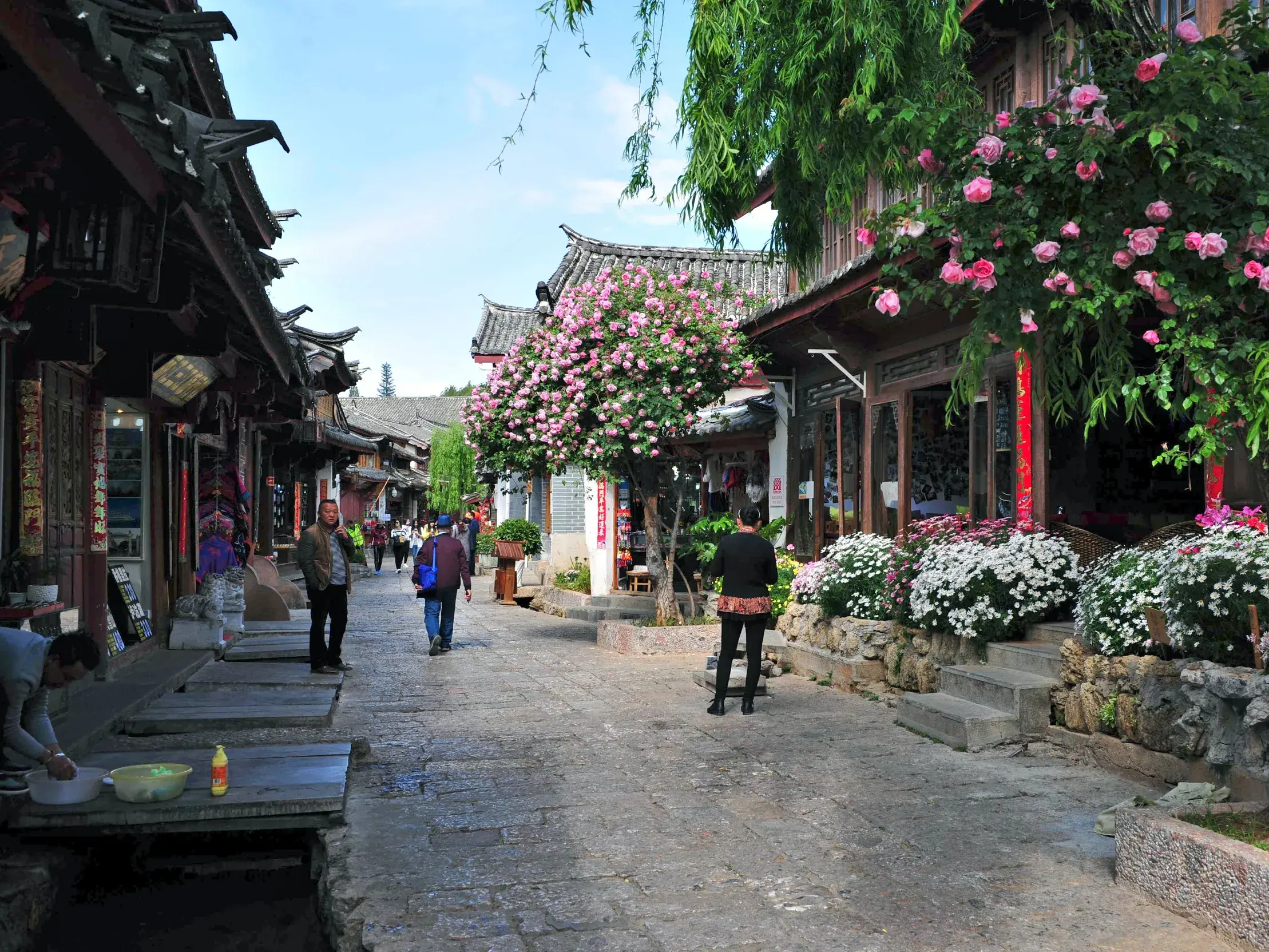 Spaziergang durch eine Gasse in der Altstadt von Lijiang, gesäumt von Blumen und traditionellen Holzhäusern.