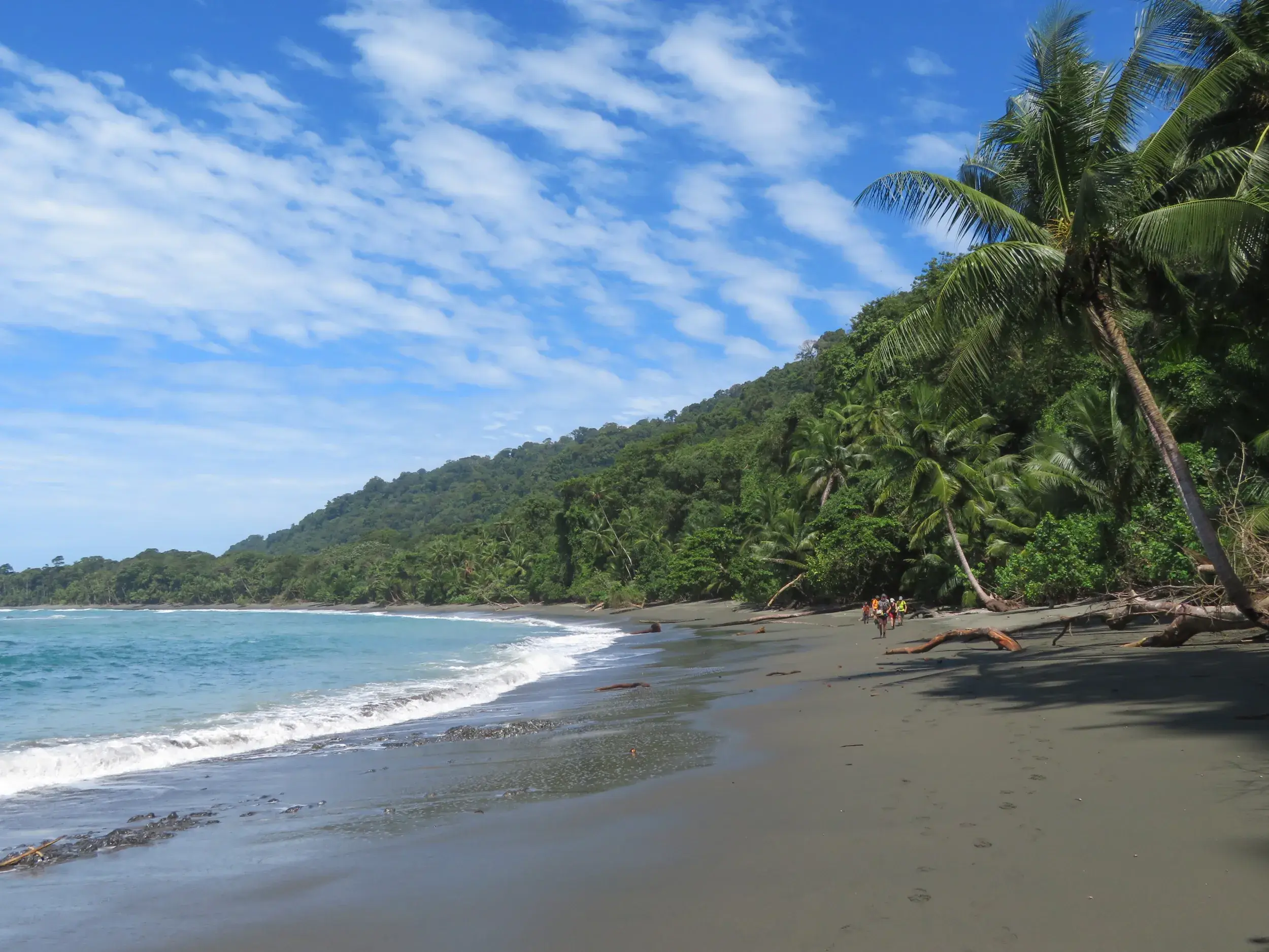 Kleine Wandergruppe am dunklen Sandstrand im Corcovado-Nationalpark, gesäumt von tropischem Küstenregenwald und Palmen.