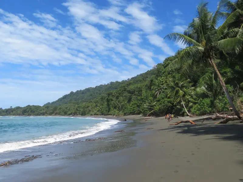 Kleine Wandergruppe am dunklen Sandstrand im Corcovado-Nationalpark, gesäumt von tropischem Küstenregenwald und Palmen.