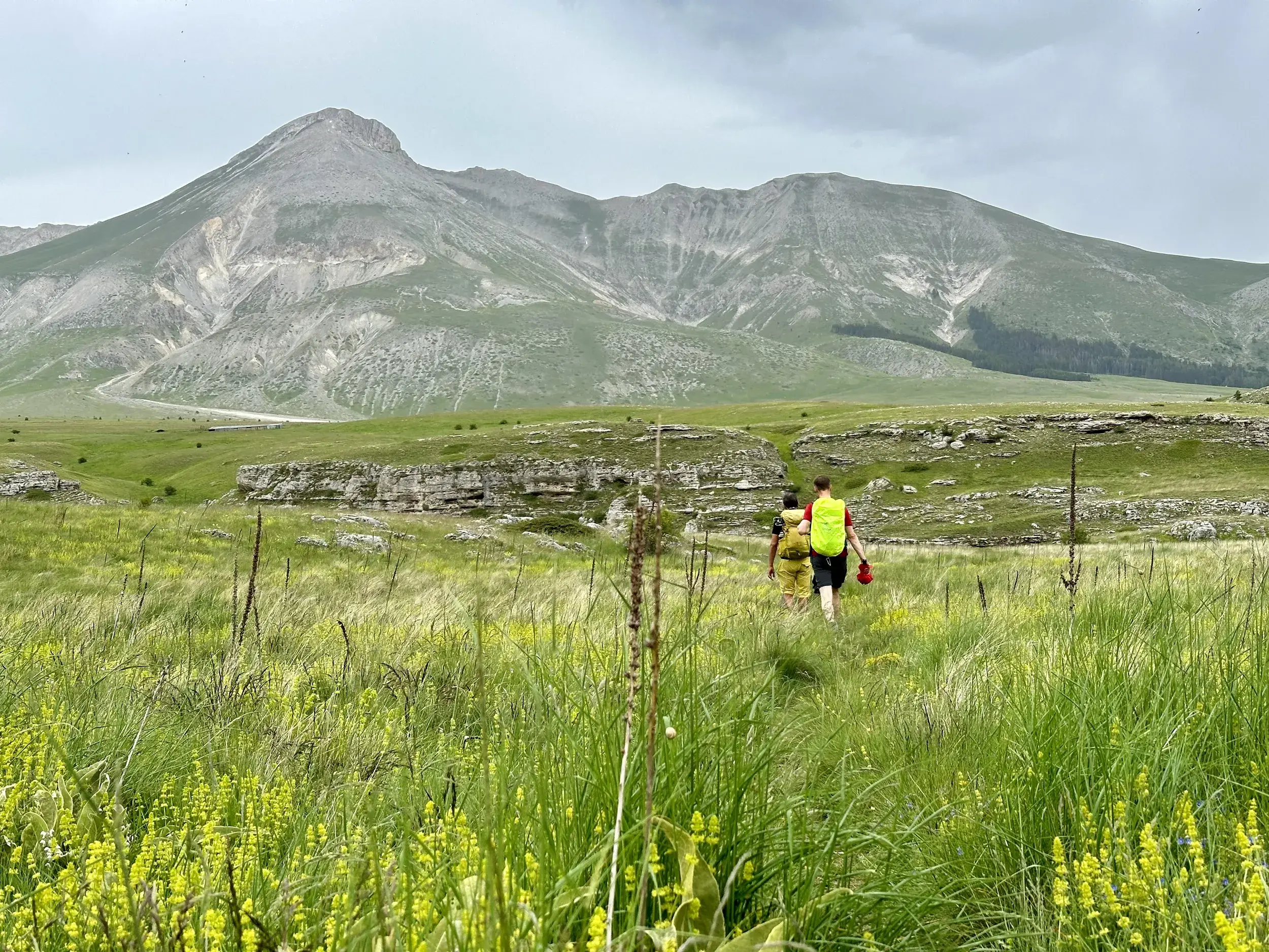 Zwei Wanderer beim Trekking durch eine blühende Wiese auf der Hochebene Campo Imperatore im Nationalpark Gran Sasso.