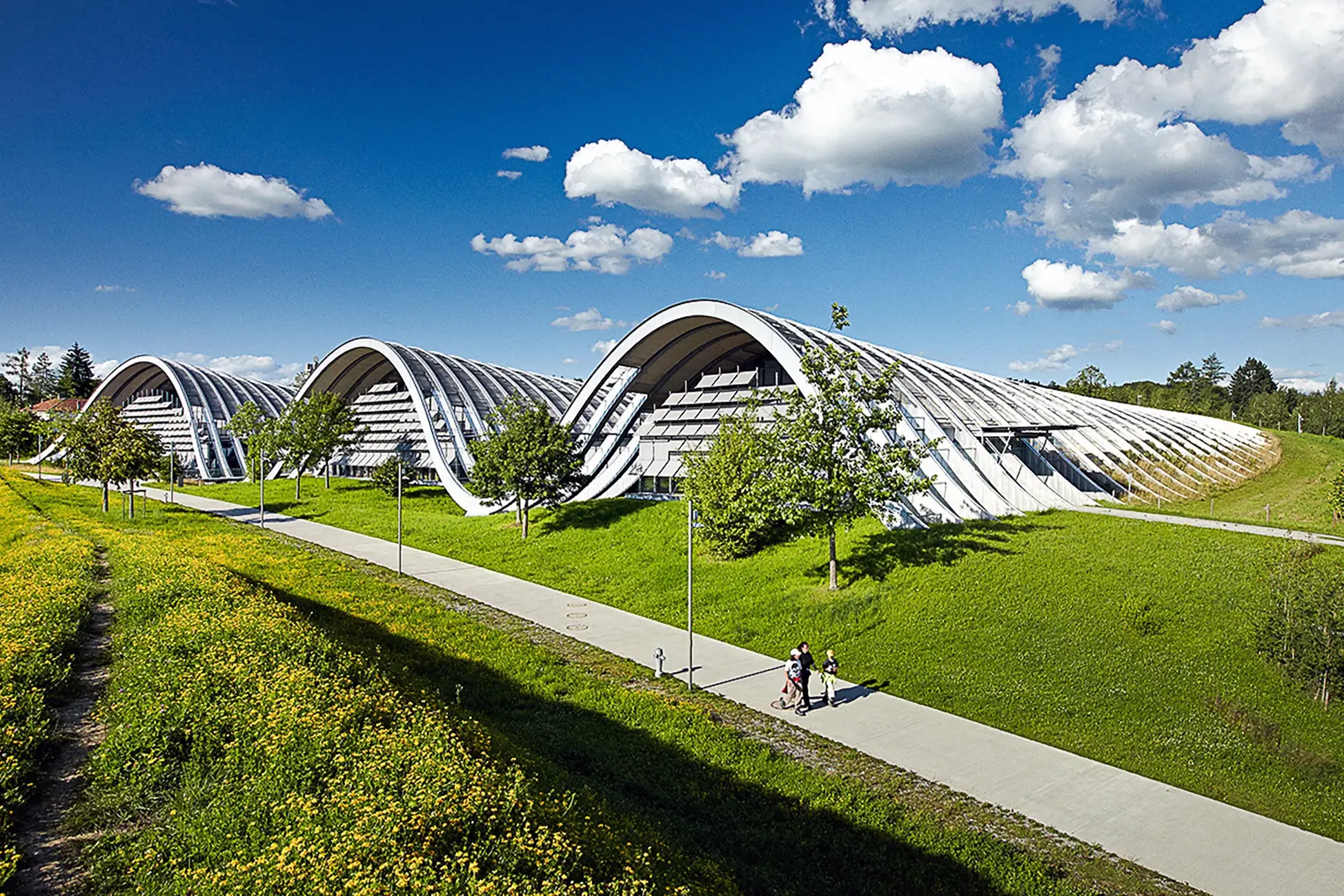 Geschwungene moderne Architektur des Paul-Klee-Museums von Renzo Piano in grüner Landschaft in Bern