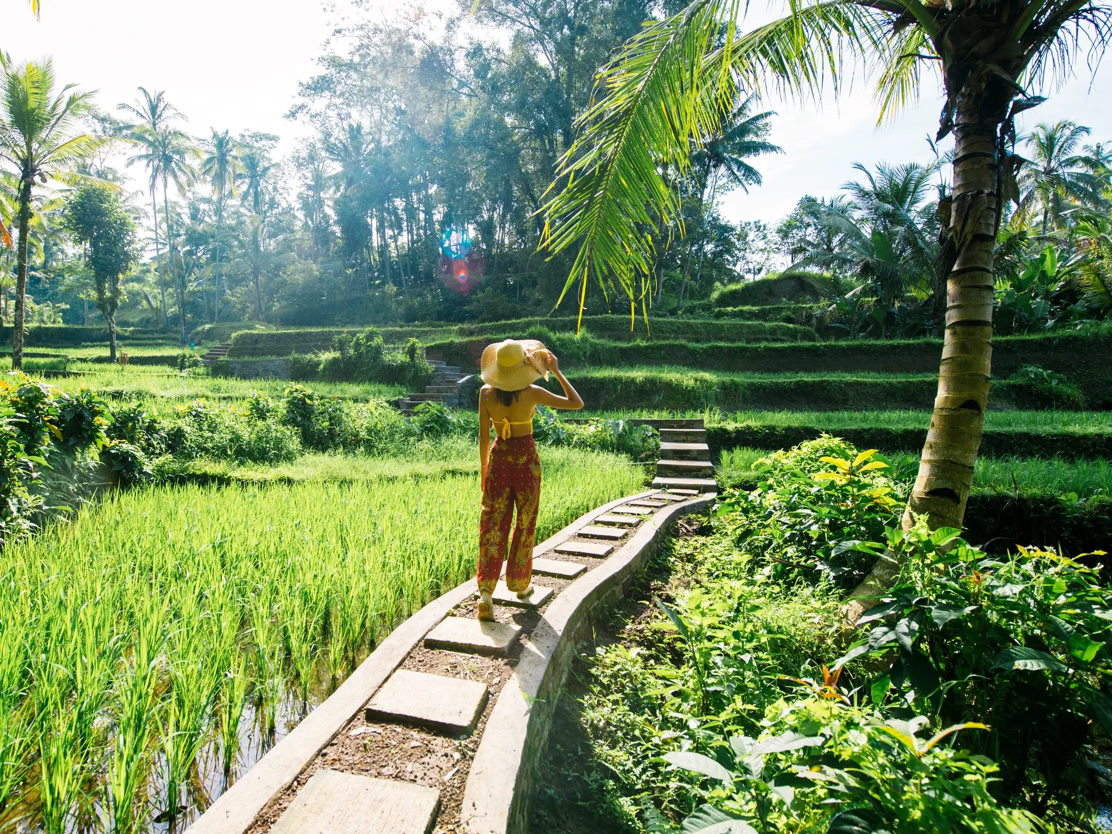 Junge Reisende erkundet auf einer Gruppenreise für junge Leute die sattgrünen Reisterrassen von Tegalalang auf Bali.