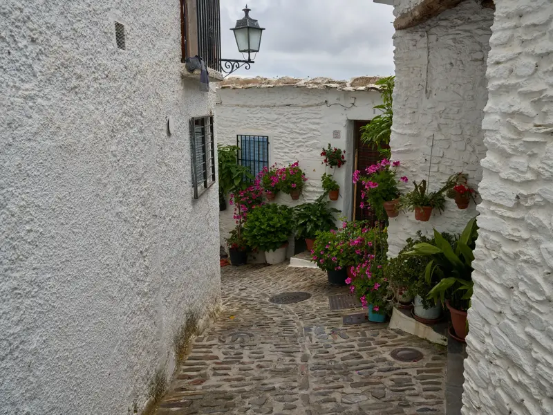 Verwinkelte Gasse mit Kopfsteinpflaster in einem weißen Dorf in der Alpujarra, gesäumt von blumengeschmückten Häusern.