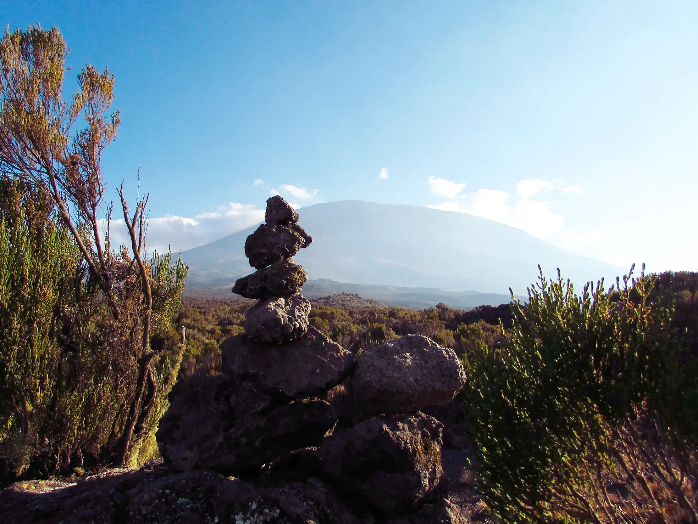 Ein Steinmännchen aus Lavagestein weist den Weg beim Trekking durch die Heidelandschaft des Kilimanjaro in Tansania.