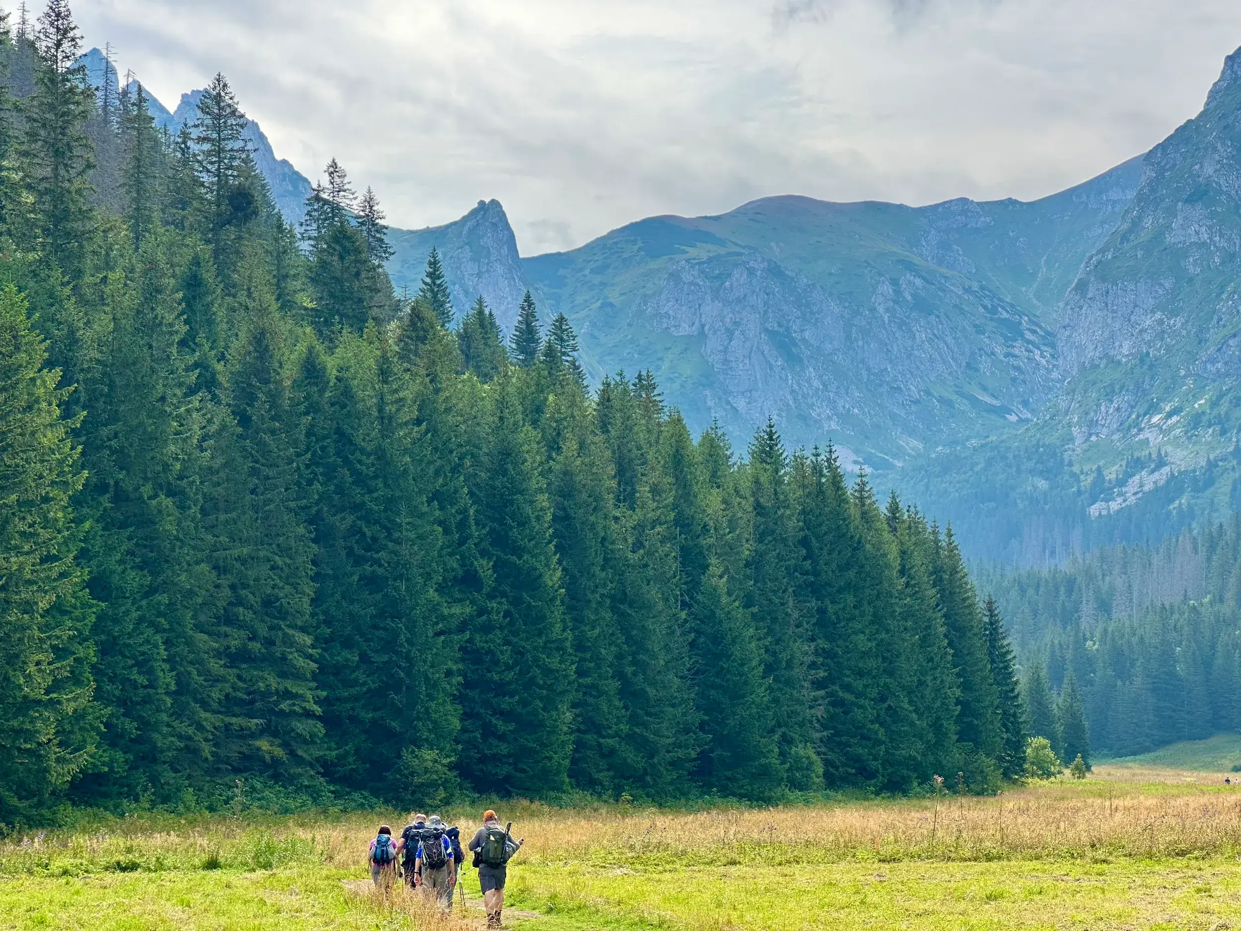 Eine Wandergruppe durchquert auf einem Pfad eine Almwiese am Waldrand mit der imposanten Bergkulisse der Hohen Tatra im Hintergrund.