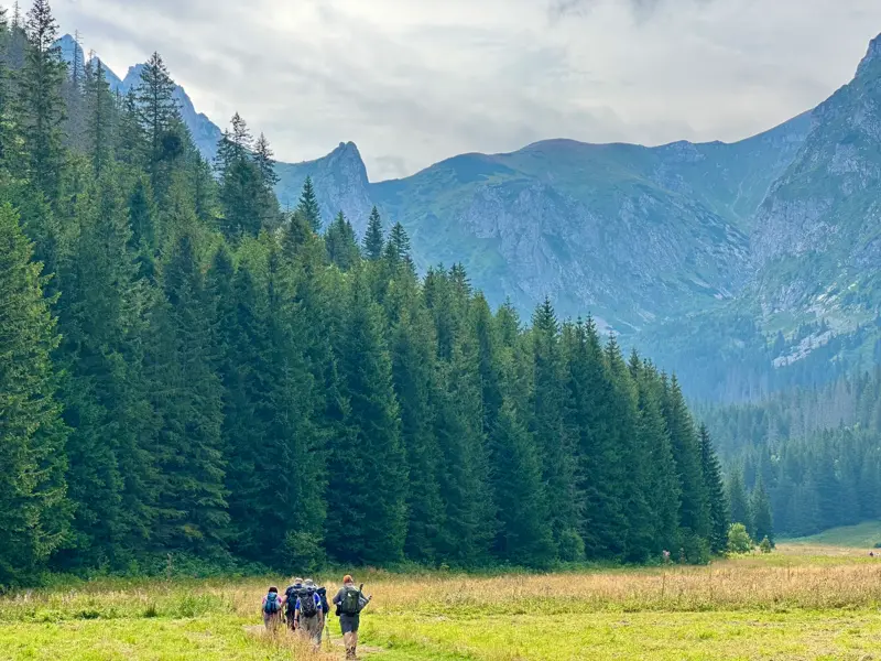 Trekking-Gruppe wandert auf einem Pfad durch ein Tal in der Hohen Tatra, gesäumt von dichten Wäldern und Felsgipfeln.