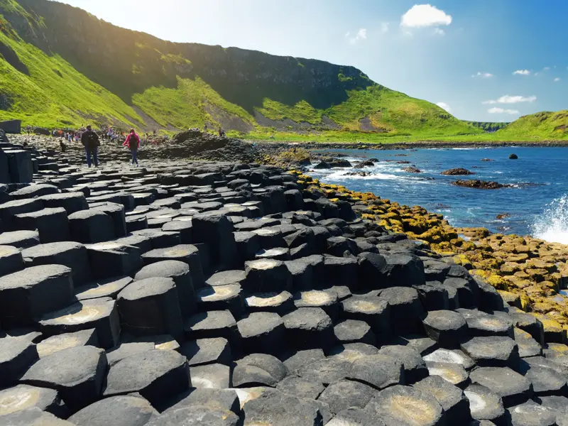 Wanderer auf den einzigartigen Basaltsäulen des Giant's Causeway an der von grünen Hügeln gesäumten Küste Nordirlands.