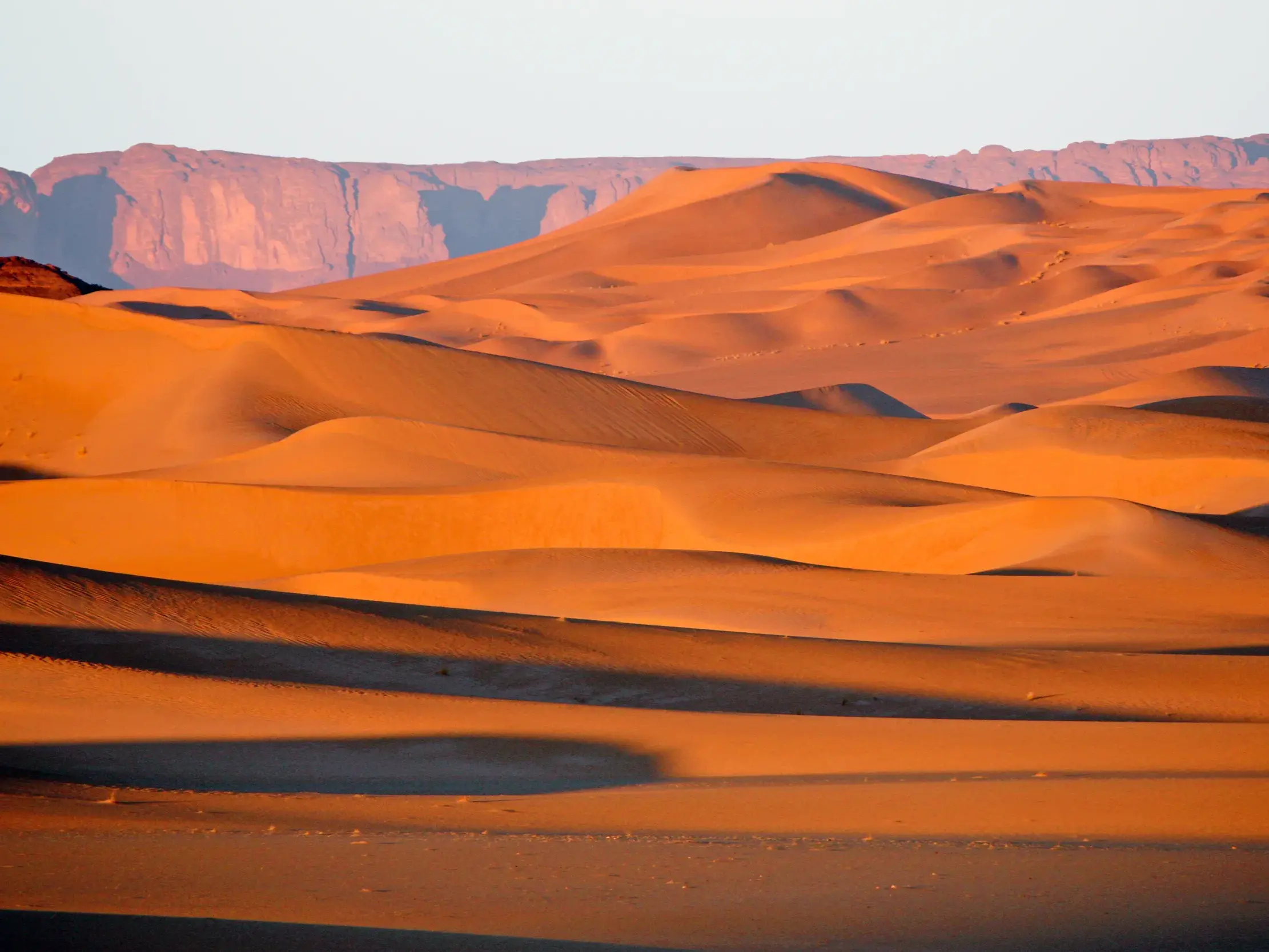 Goldene Dünen des Erg d'Admer in Algerien, im Hintergrund das Tassili-Gebirge im sanften Licht der Abendsonne.