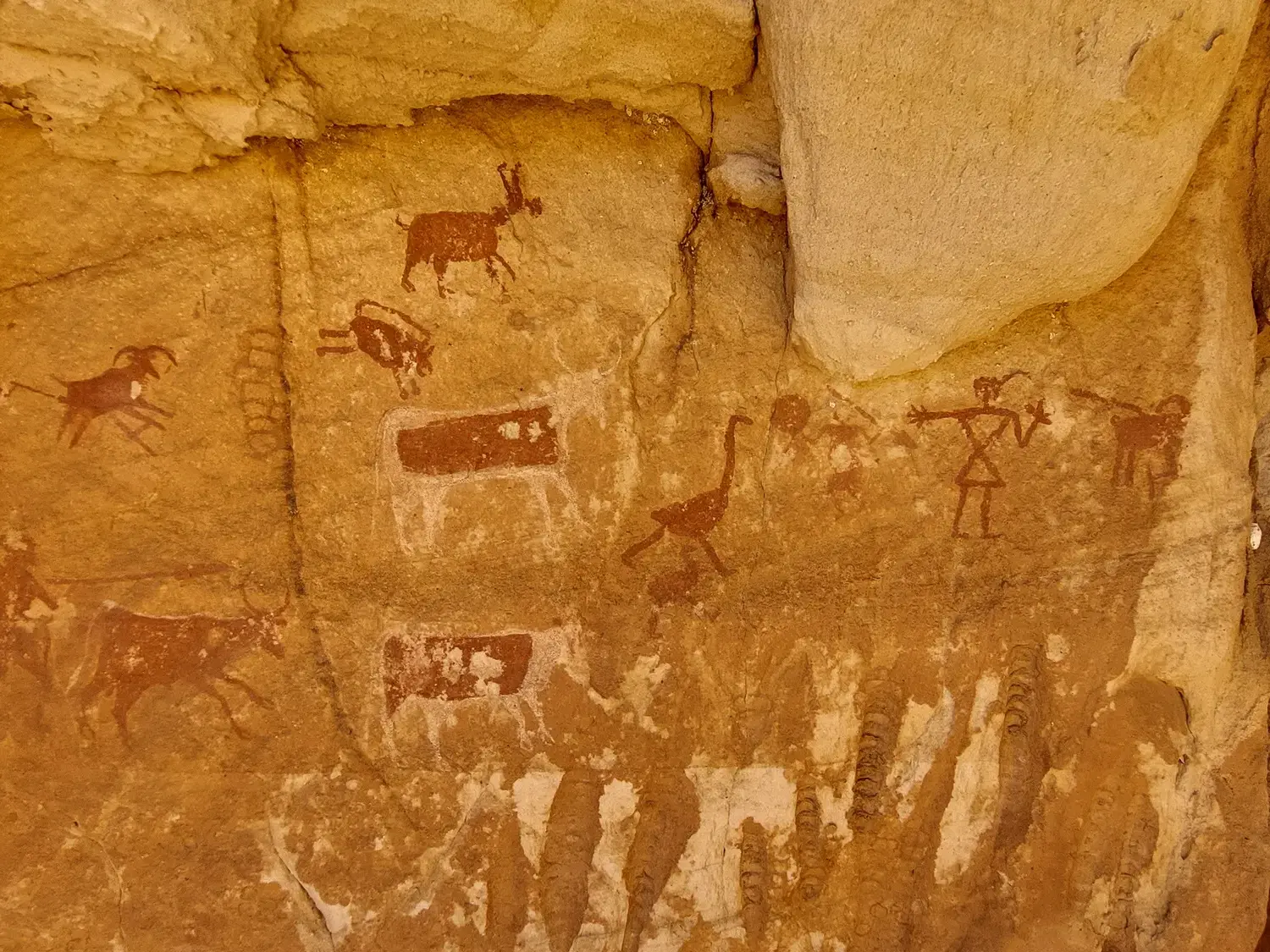 Uralte Felsbilder im Tassili n'Ajjer zeigen Jäger, Rinder und Antilopen an einer Felswand in der algerischen Sahara.