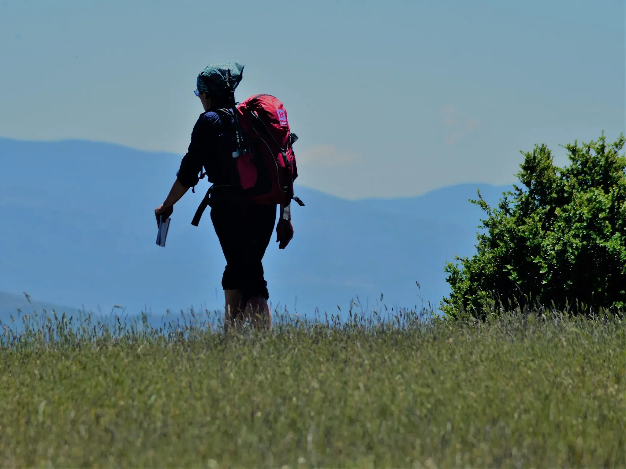 Eine Wanderin mit rotem Rucksack und Karte wandert auf einer Trekking-Tour durch eine grüne Bergwiese in den Pyrenäen.