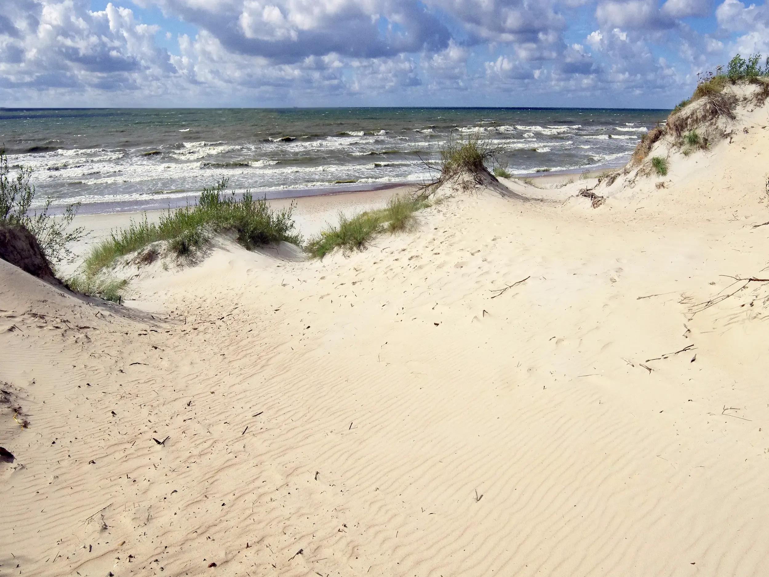 Ein Sandpfad führt durch grasbewachsene Wanderdünen hinunter zum rauen Ostseestrand auf der Kurischen Nehrung.