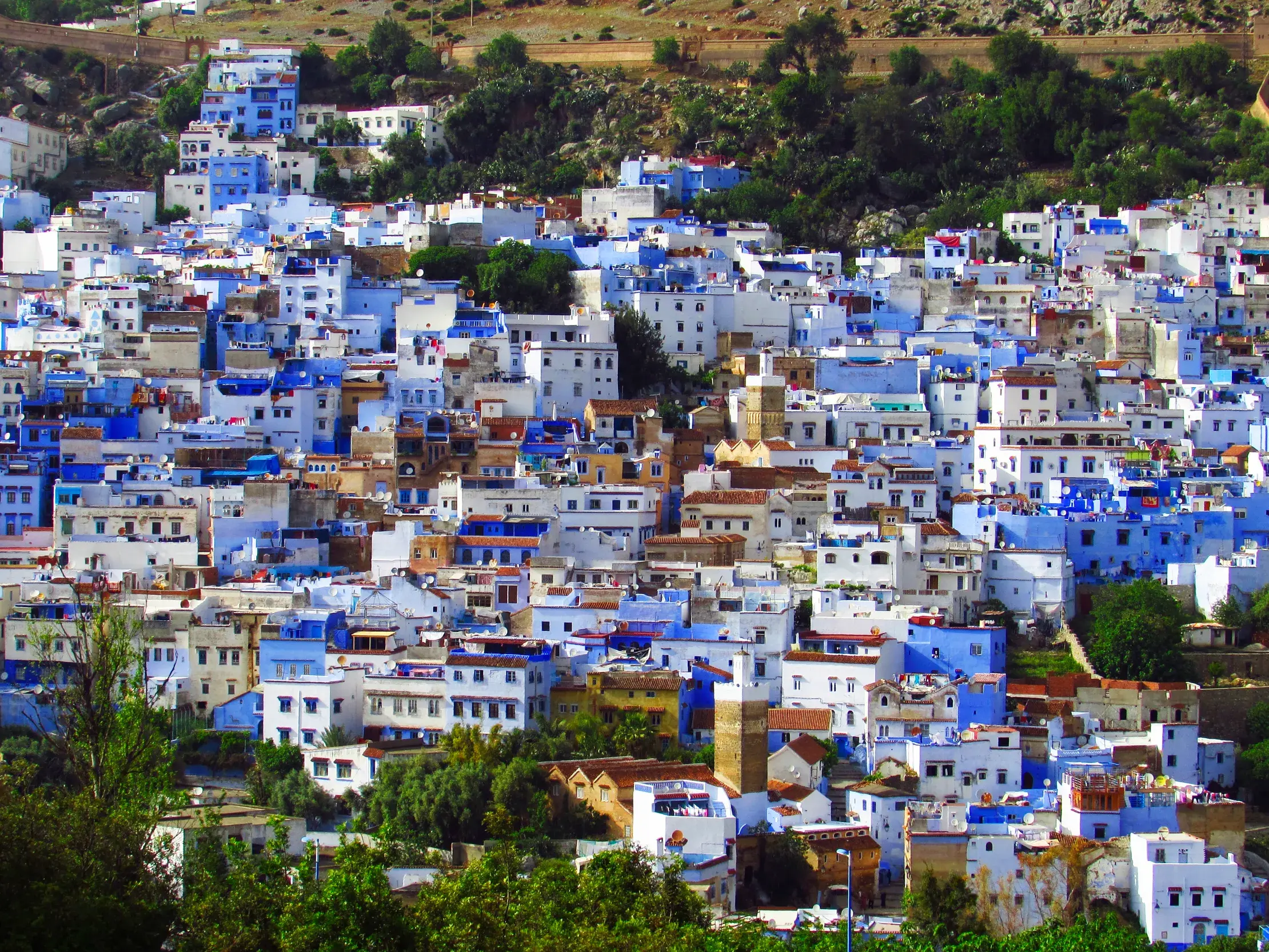 Blick auf die azurblauen und weißen Häuser der Medina von Chefchaouen, die an einem Hang im Rif-Gebirge in Marokko liegt.