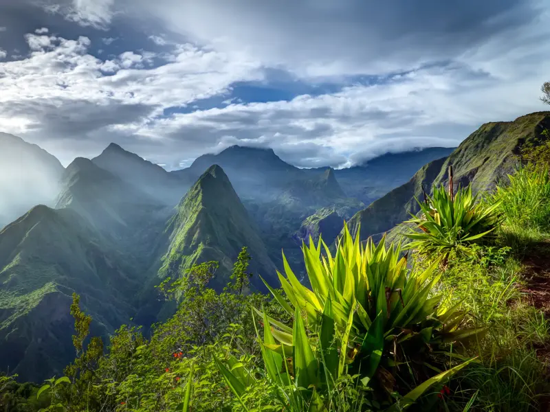 Agaven am Rande eines Wanderpfades mit Blick auf die dramatische, wolkenverhangene Bergwelt des Cirque de Mafate auf La Réunion.