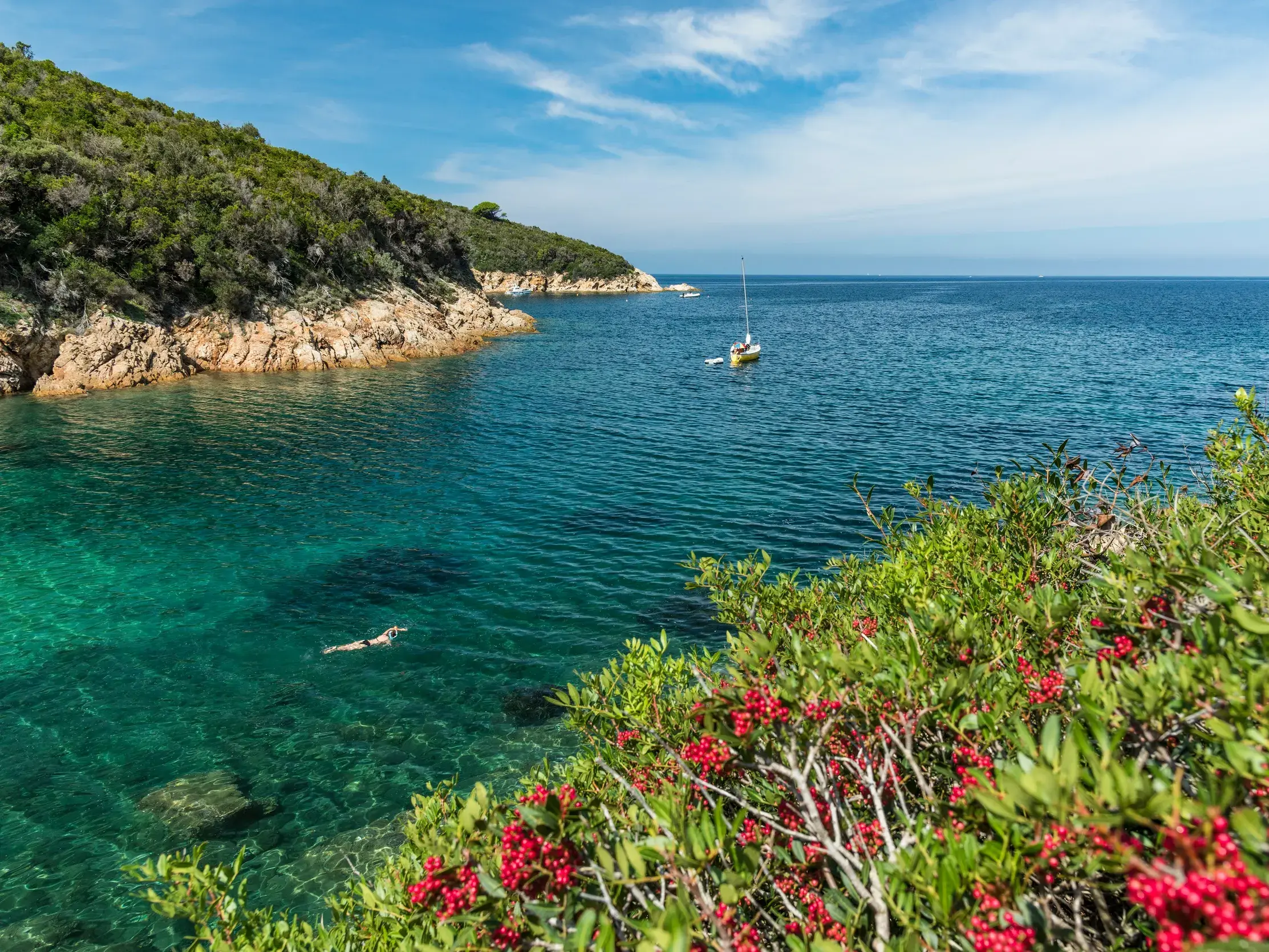 Blick über mediterrane Macchia auf eine idyllische Bucht auf Elba mit kristallklarem Wasser, in dem eine Person schwimmt.