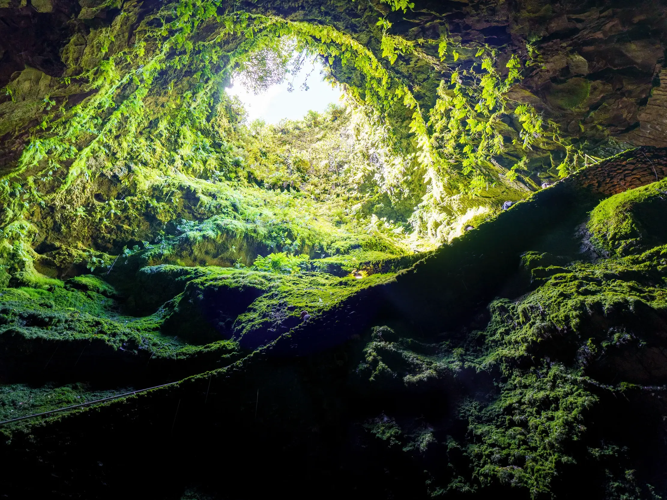Blick von unten aus dem Vulkanschlund Algar do Carvão auf Terceira, dessen Wände mit leuchtend grünem Moos bewachsen sind.
