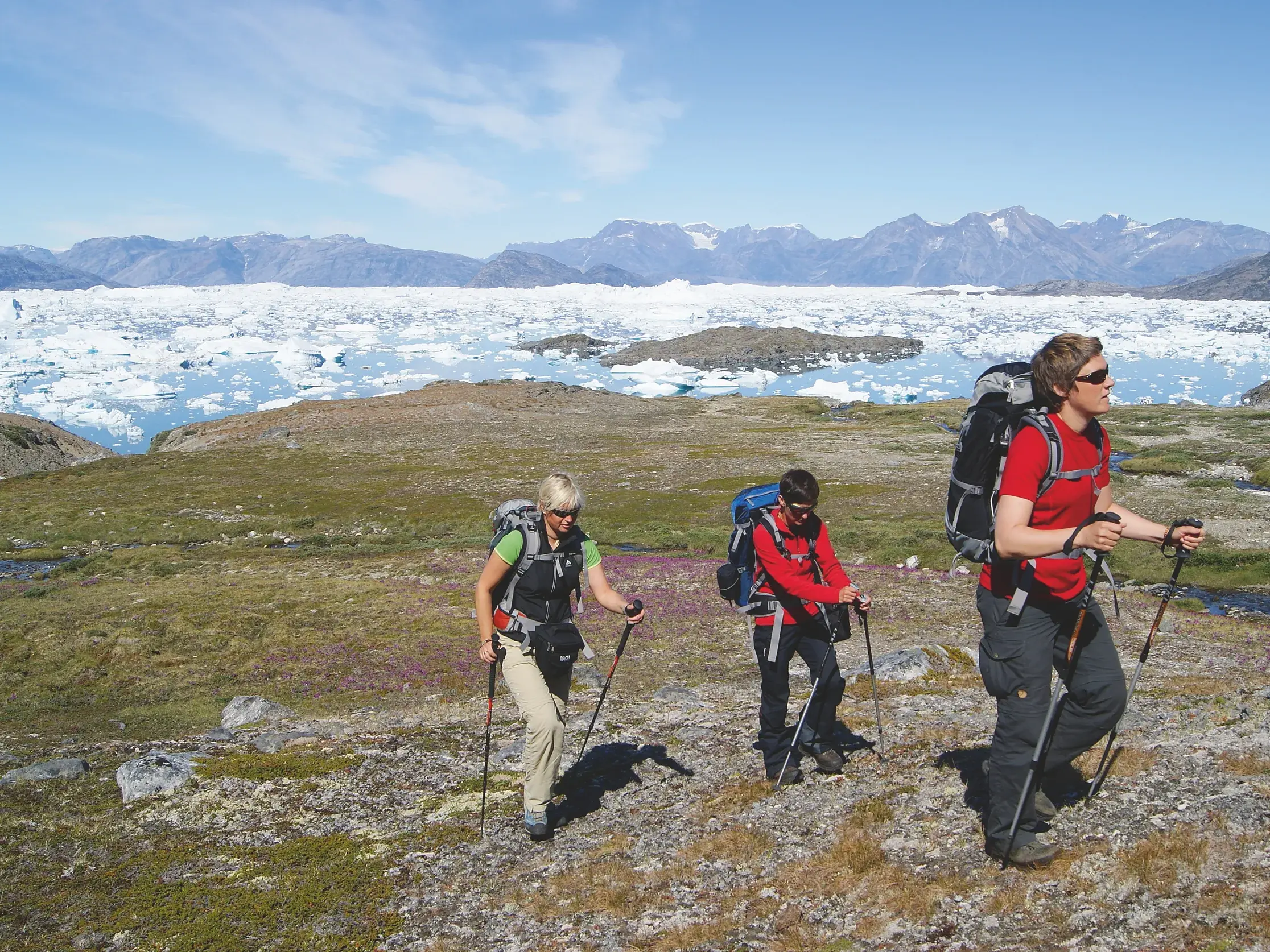 Eine kleine Wandergruppe mit Rucksäcken beim Trekking in Ostgrönland vor einem riesigen, vereisten Fjord mit Bergen.