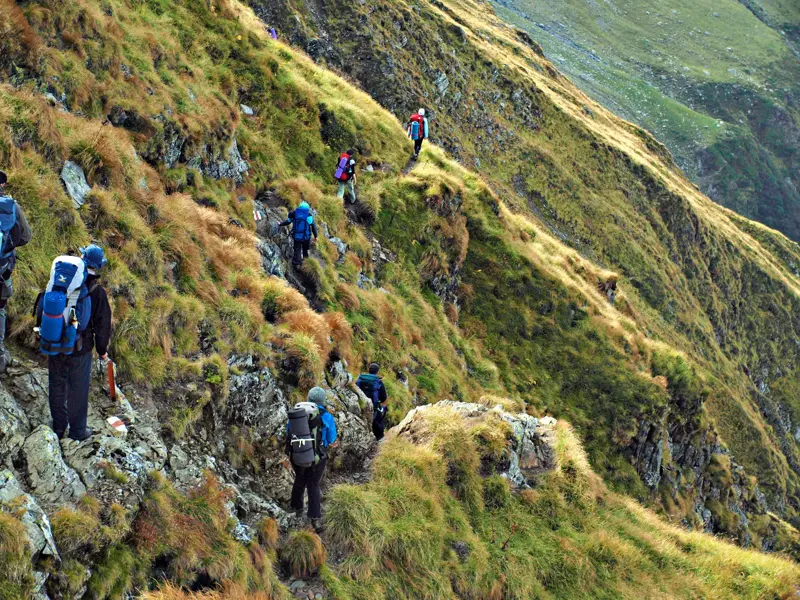Eine Trekkinggruppe mit großen Rucksäcken wandert auf einem schmalen, markierten Pfad an einem steilen Grashang im Fagaras Gebirge.
