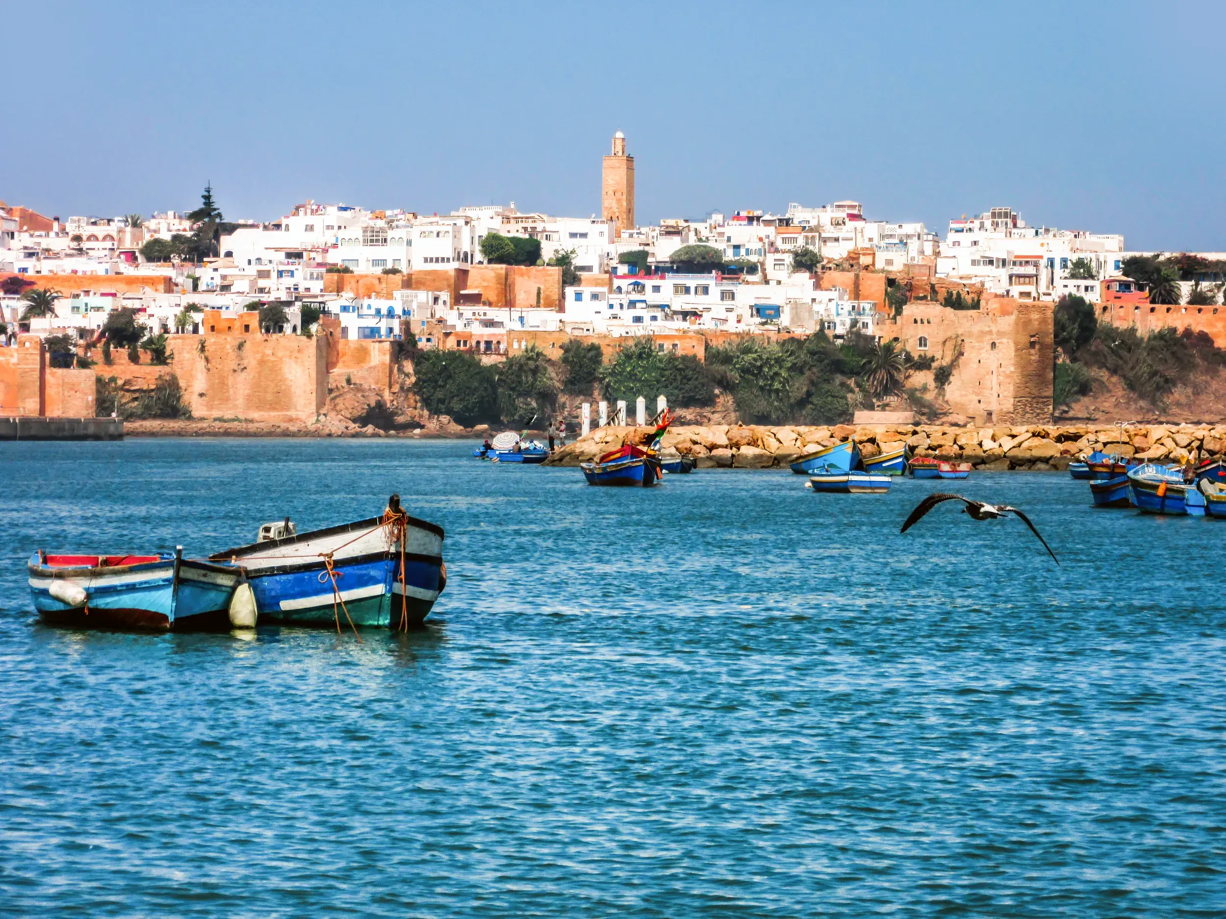Bunte Fischerboote  vor der historischen Kasbah des Oudaias (UNESCO) in Rabat, Marokko.