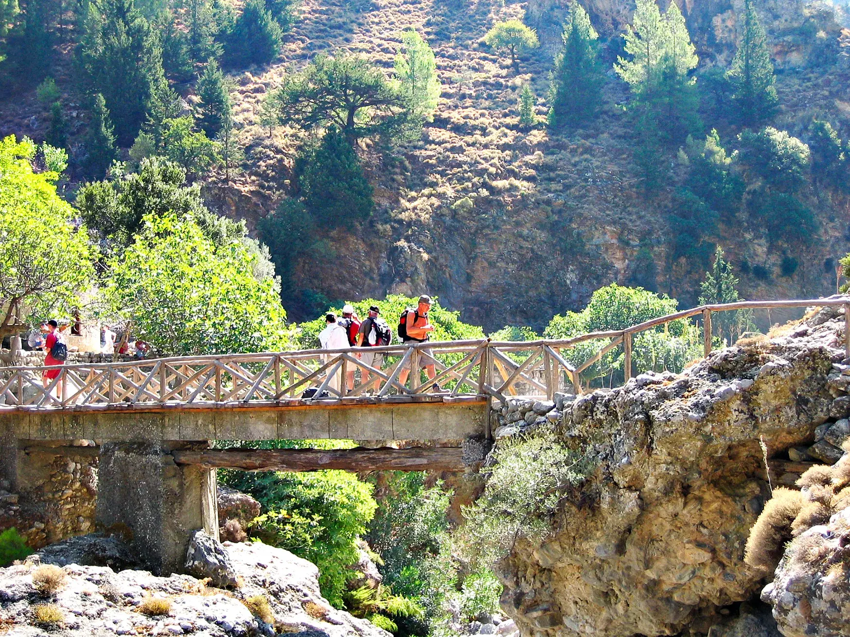 Eine Wandergruppe mit Rucksäcken überquert eine rustikale Holzbrücke in der sonnigen und grünen Samaria-Schlucht auf Kreta.
