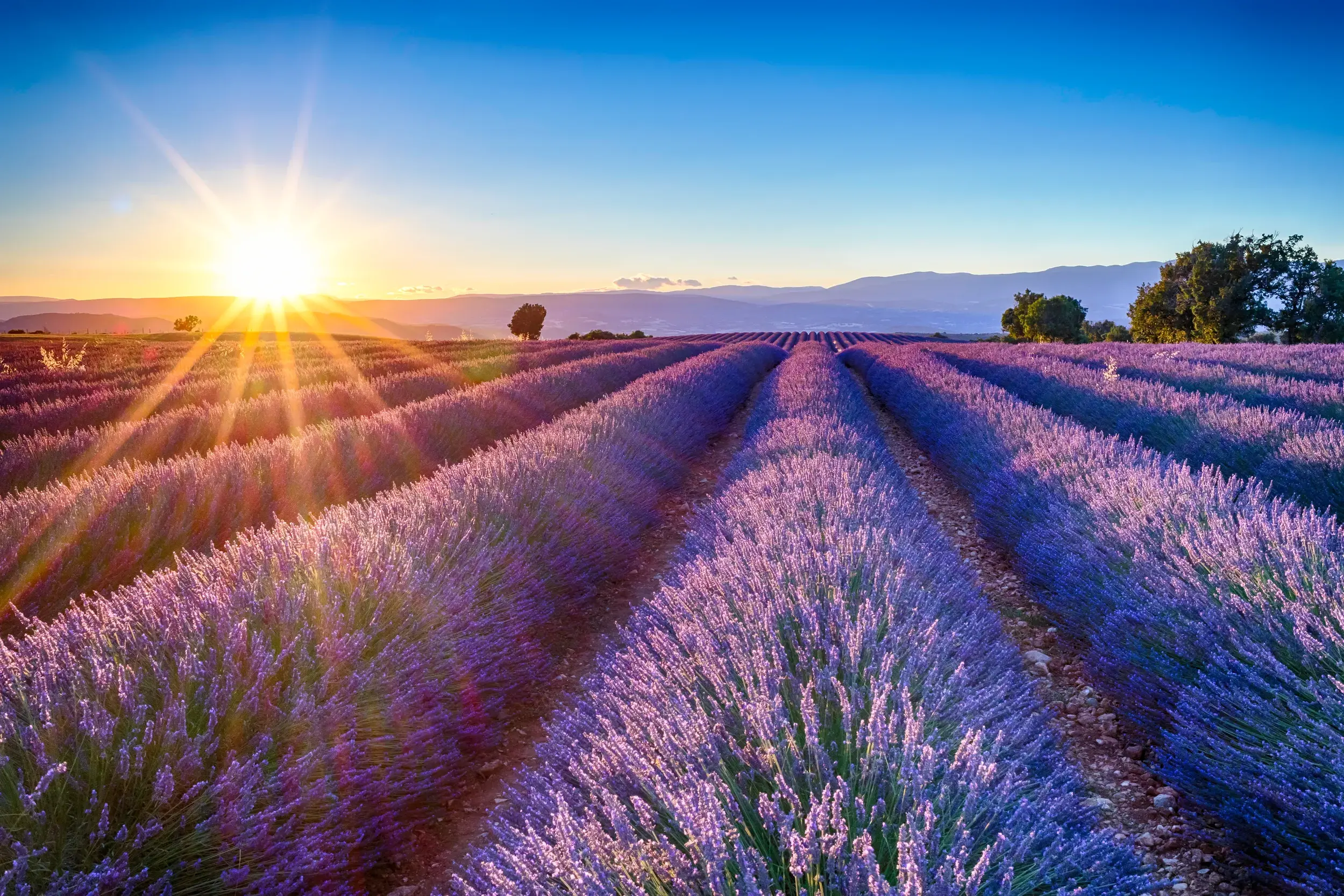Provence