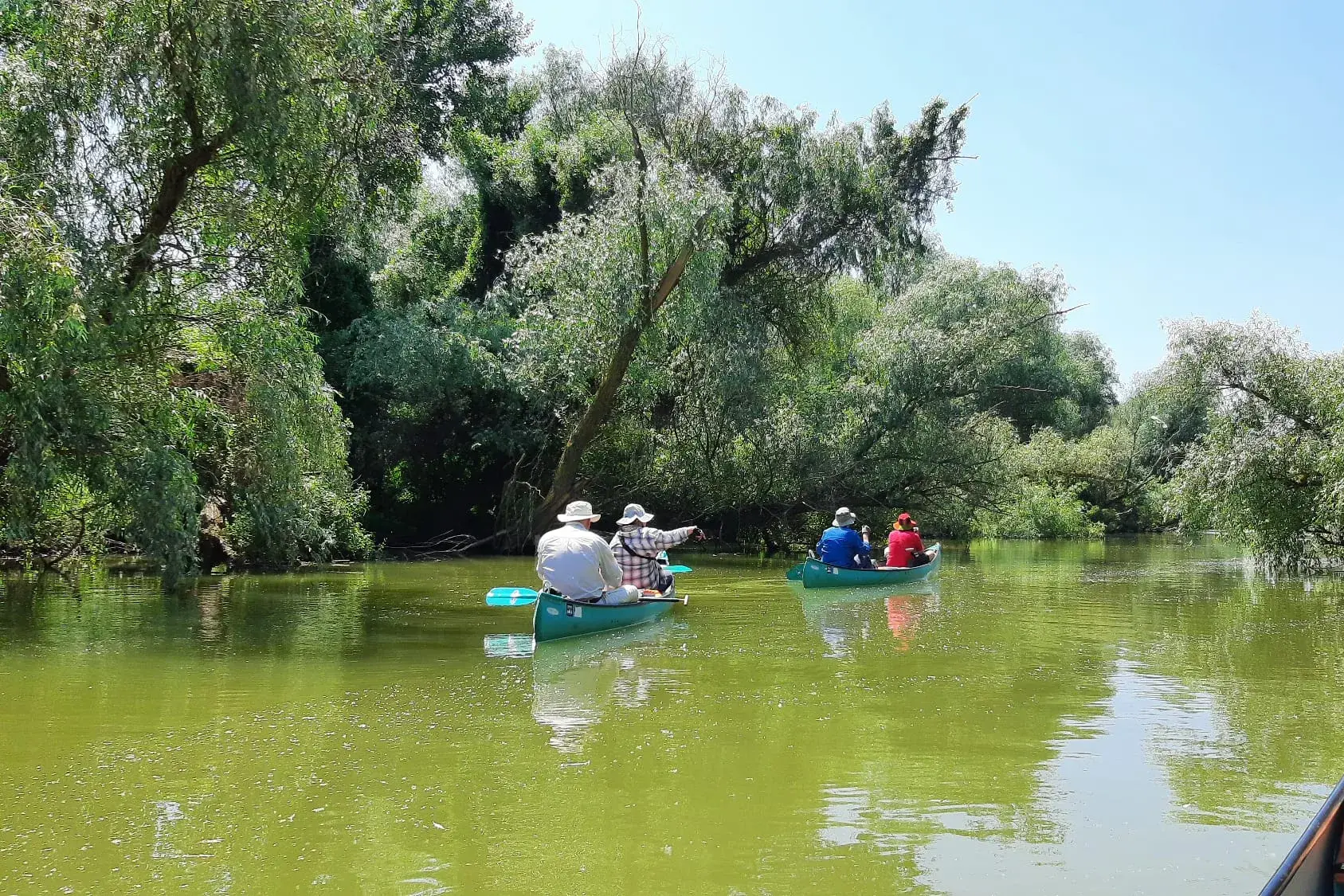 Eine Hauser-Reisegruppe erkundet bei einer Kanutour die üppig grüne Wasserlandschaft des rumänischen Donaudeltas.