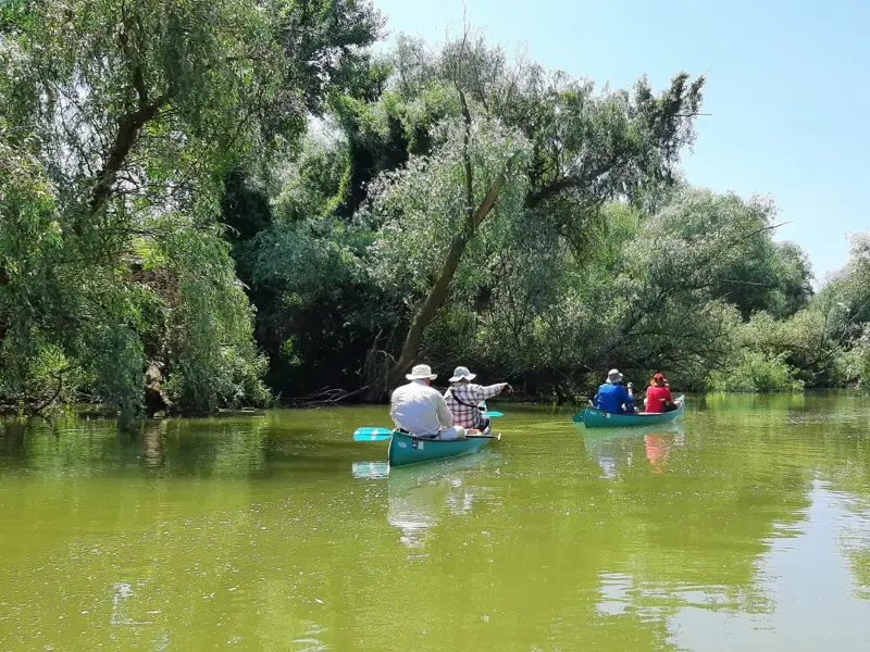 Eine Hauser-Reisegruppe erkundet bei einer Kanutour die üppig grüne Wasserlandschaft des rumänischen Donaudeltas.