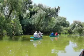 Eine Hauser-Reisegruppe erkundet bei einer Kanutour die üppig grüne Wasserlandschaft des rumänischen Donaudeltas.