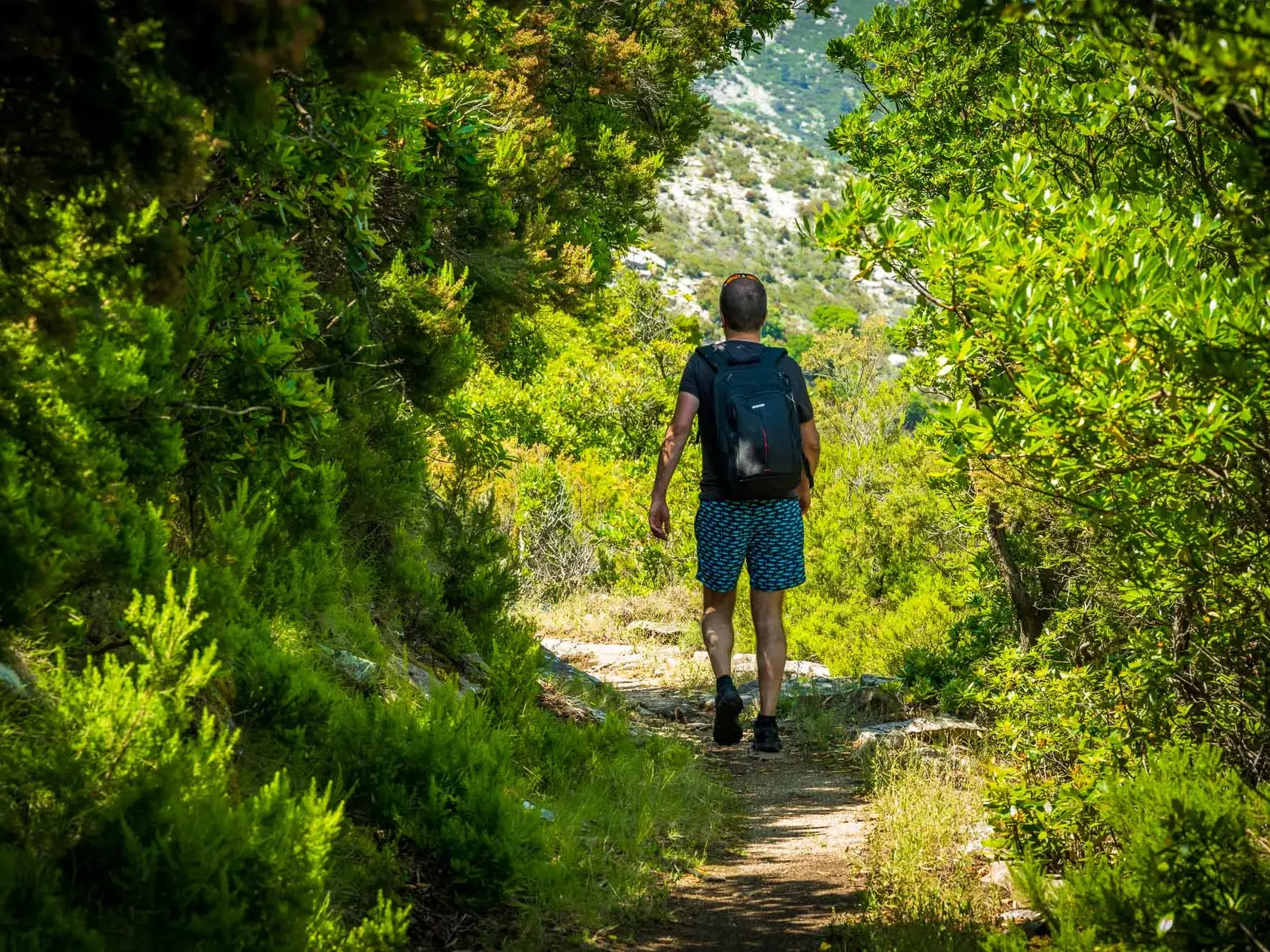 Wanderer mit Rucksack auf dem Trekkingpfad GTE auf Elba, umgeben von üppiger, sonnenbeschienener Macchia-Vegetation.
