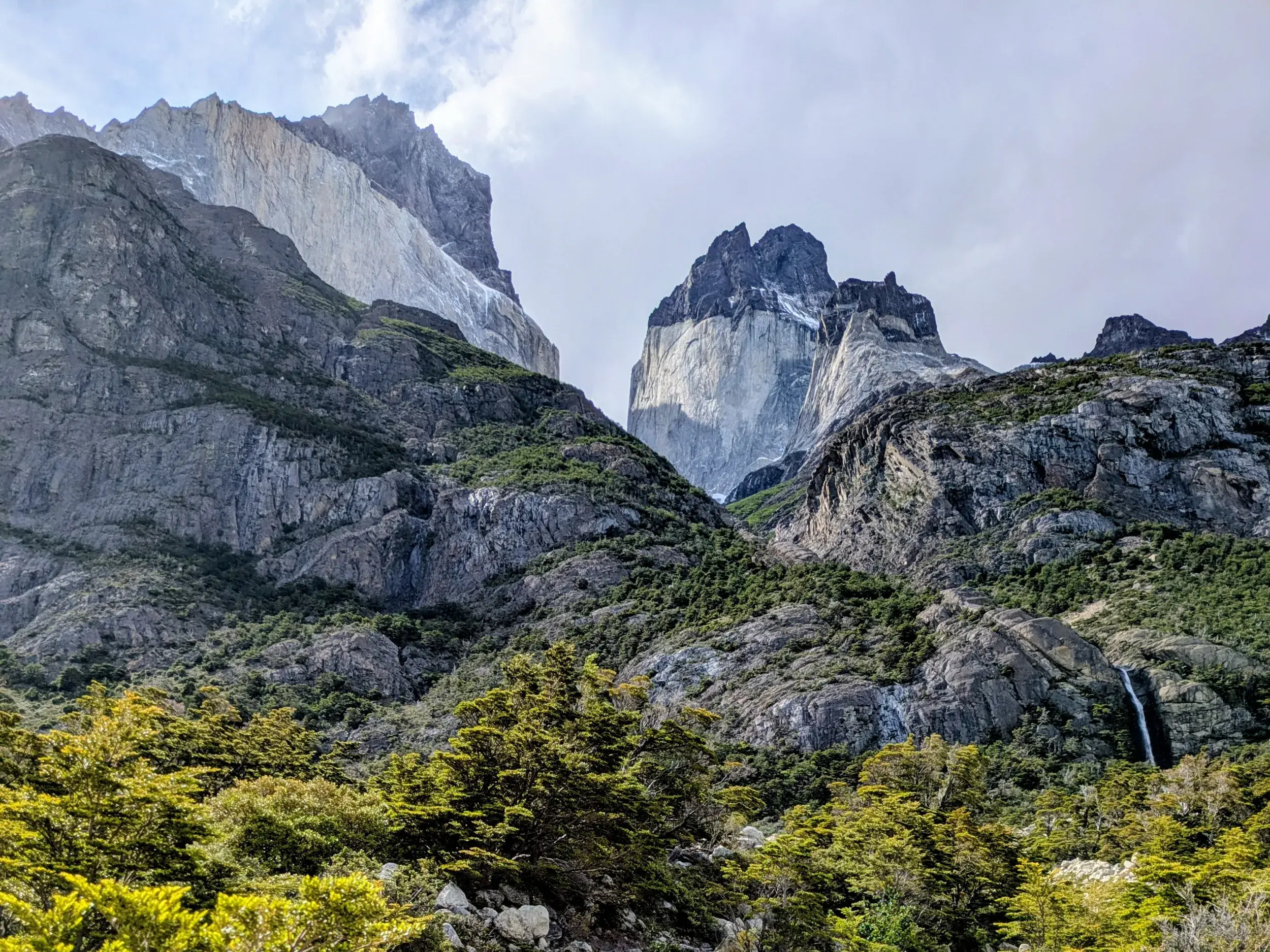Blick vom W-Trek auf steile Felswände und grüne Wälder im Französischen Tal des Torres del Paine Nationalparks in Patagonien.