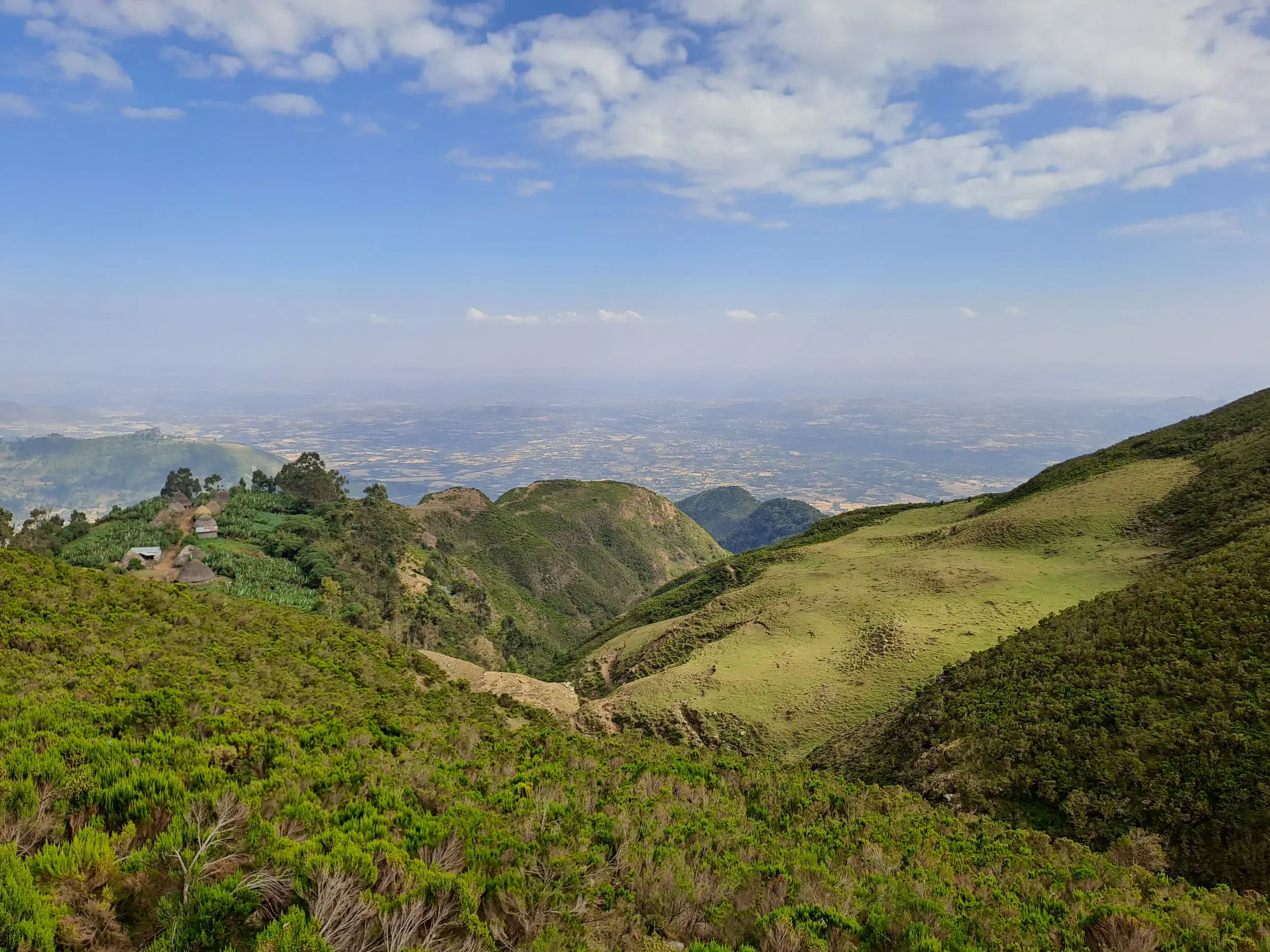 Panoramablick beim Trekking über saftig grüne Hügel am Afrikanischen Grabenbruch in der Gurage-Region Äthiopiens.