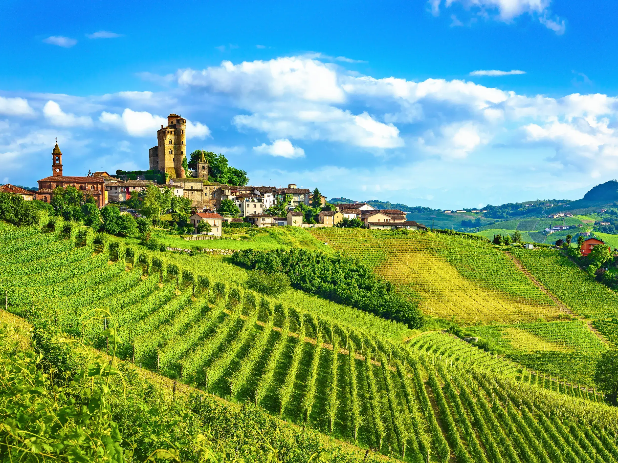 Das Castello di Serralunga d'Alba thront über einem Dorf inmitten der grünen, sonnigen Weinberge der Langhe im Piemont.
