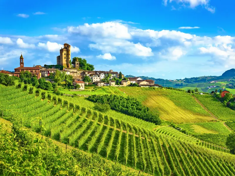 Das Castello di Serralunga d'Alba thront über einem Dorf inmitten der grünen, sonnigen Weinberge der Langhe im Piemont.
