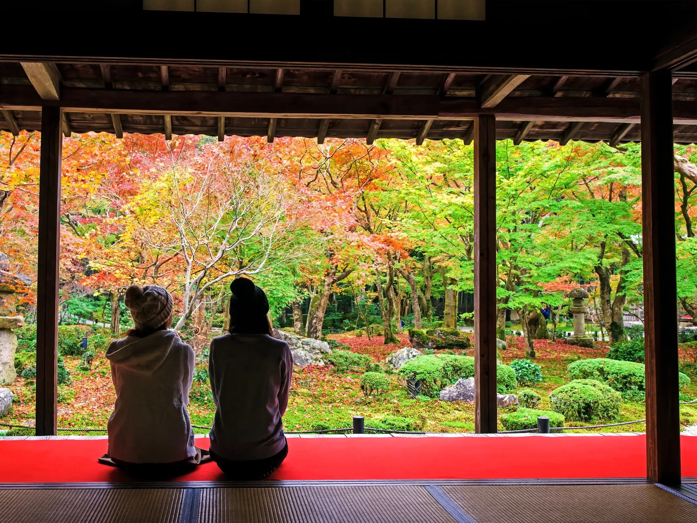 Zwei Reisende auf einer Veranda eines Tempels in Kyoto, die den Blick auf den farbenprächtigen japanischen Herbstgarten genießen.