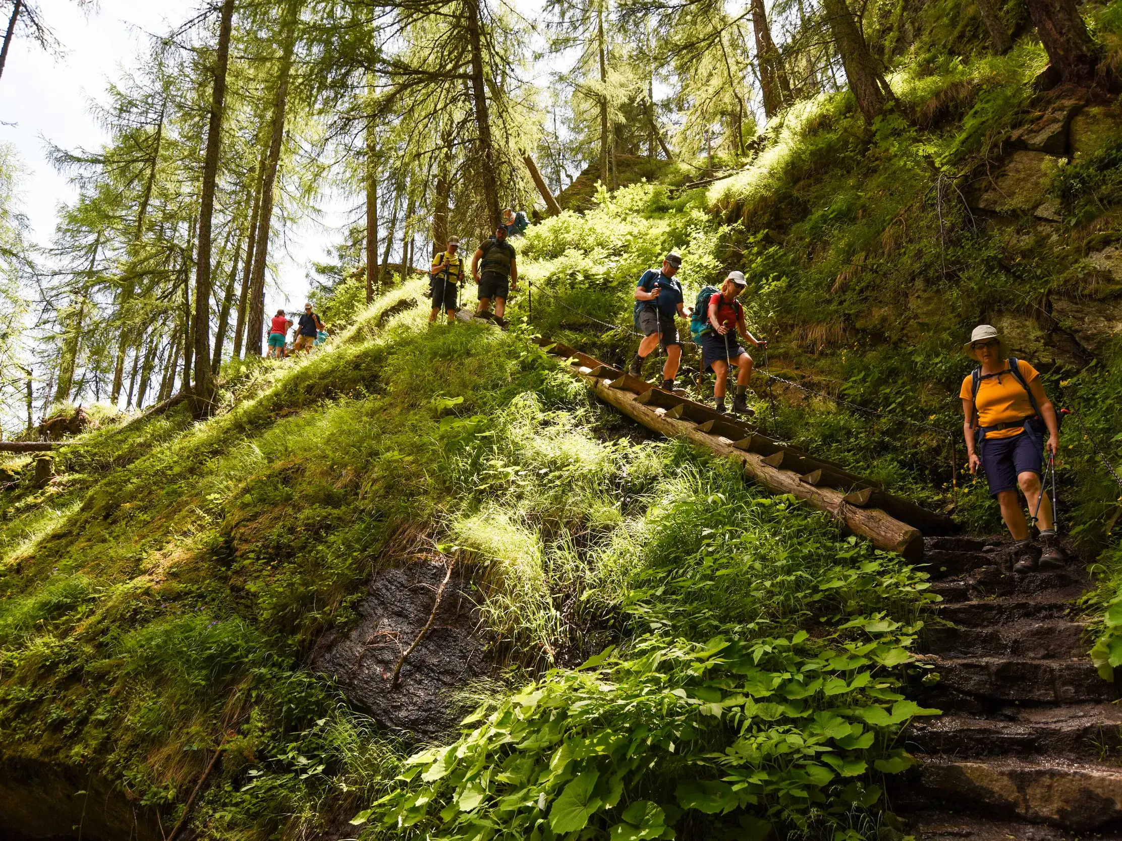 Eine Wandergruppe steigt über steile Stufen durch die sonnendurchflutete 1000-Stufen-Schlucht im Naturpark Texelgruppe.