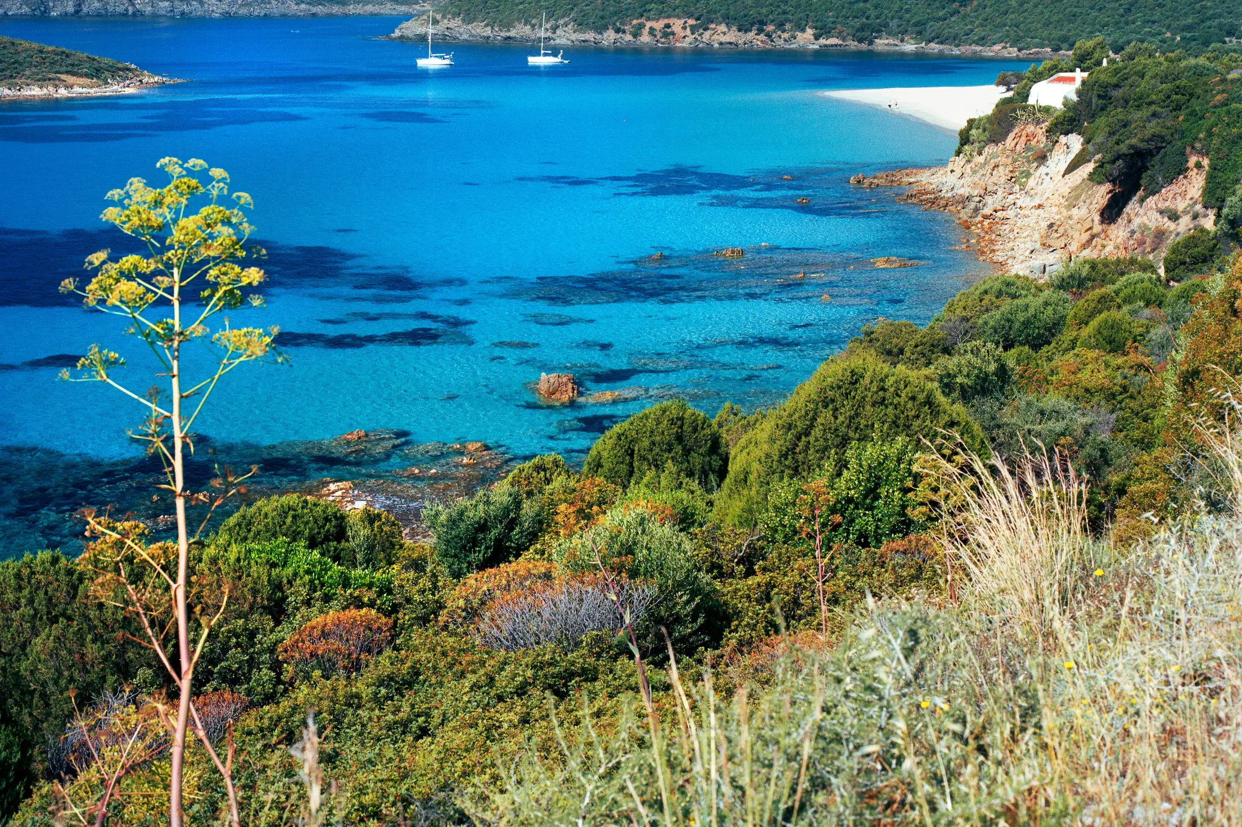 Zwei Segelboote ankern in einer Bucht mit türkisblauem Wasser vor einem Sandstrand an Sardiniens Costa Smeralda.