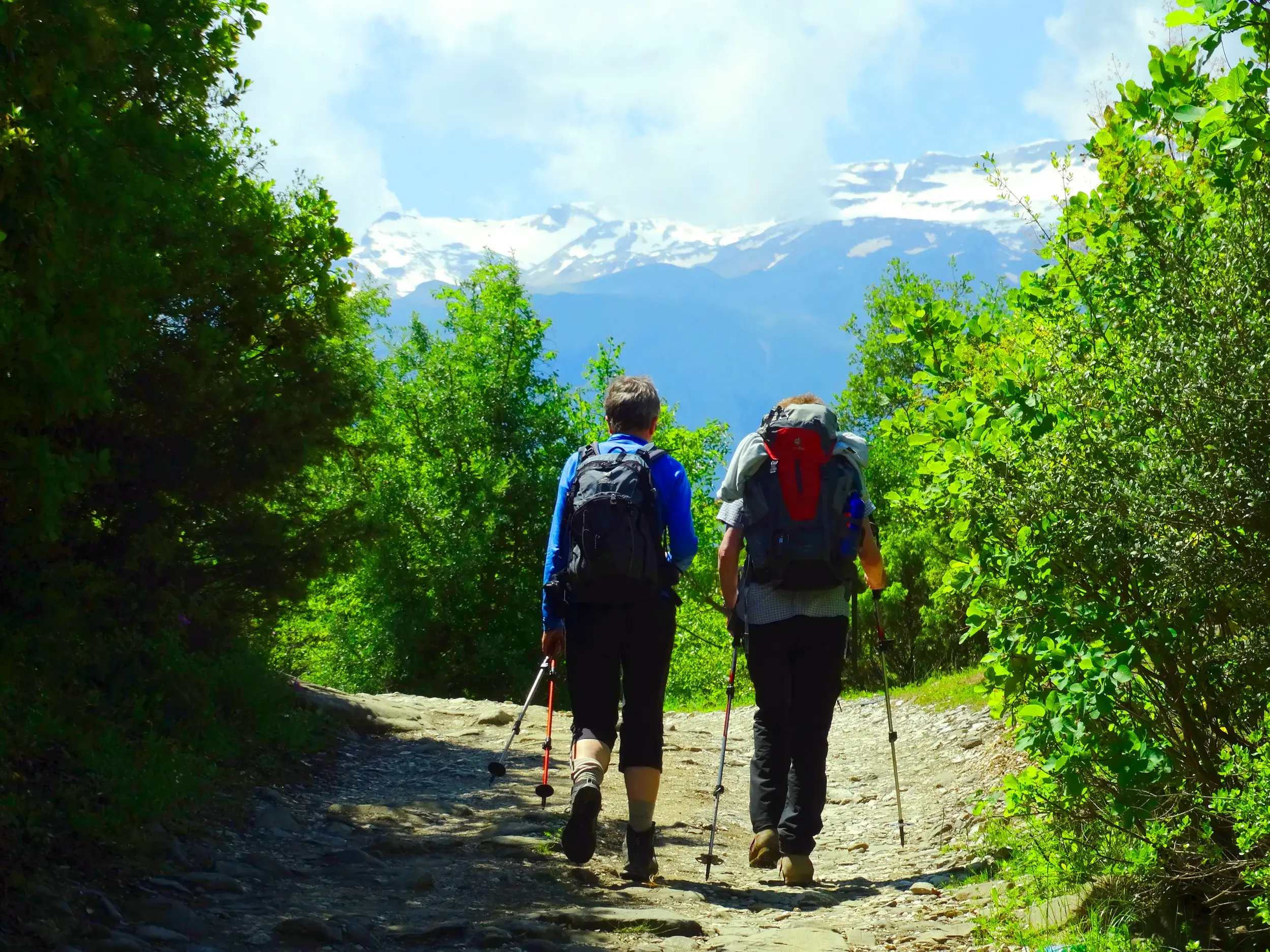 Zwei Wanderer mit Trekkingrucksäcken folgen einem steinigen Pfad durch grüne Vegetation mit Blick auf schneebedeckte Gipfel.