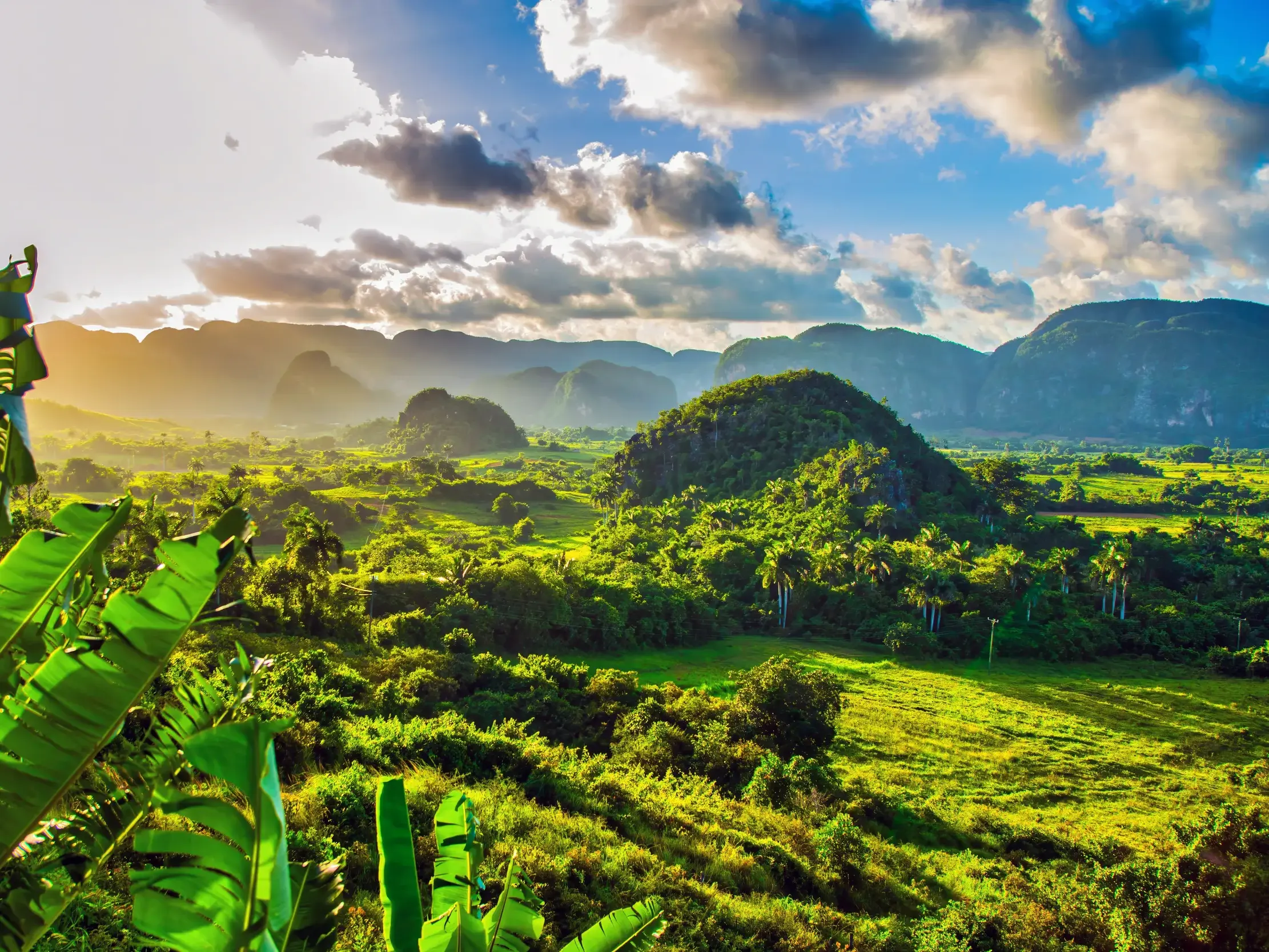 Weitblick über das saftig grüne Valle de Viñales auf Kuba mit seinen typischen Mogotes-Felsen im warmen Abendlicht.