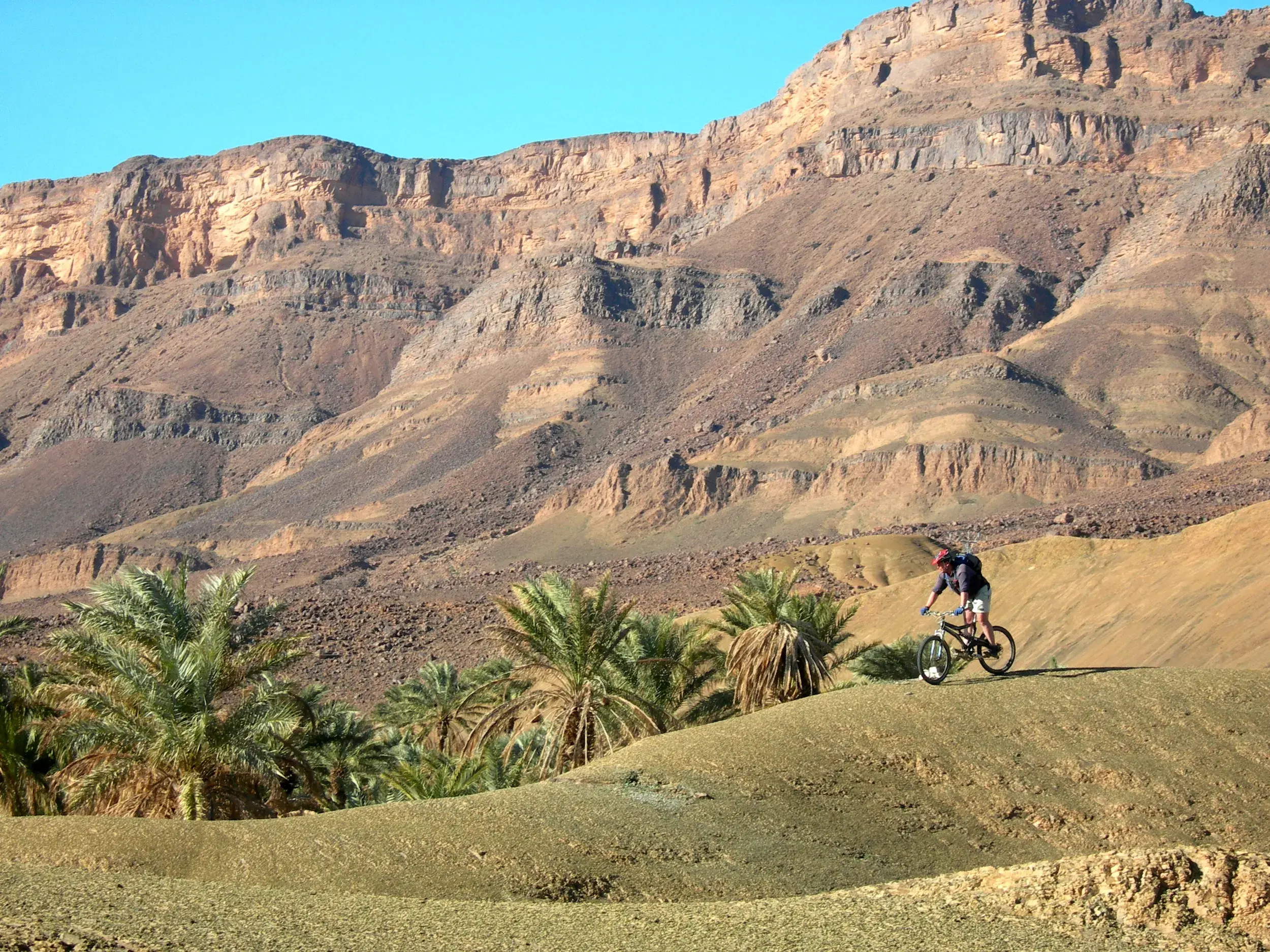 Mountainbiker fährt auf einem Hügel durch eine Oase vor der Felskulisse des Jebel Sarhro in Marokko.