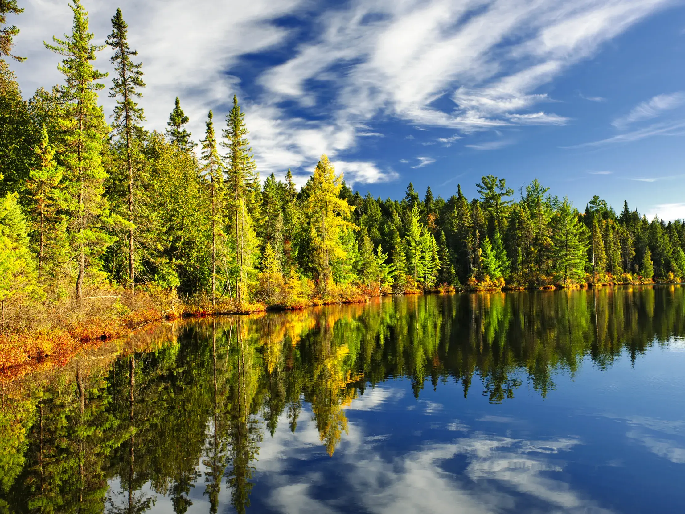 Farbenprächtiger Herbstwald im Algonquin Provincial Park in Kanada, dessen Bäume sich im ruhigen Wasser eines Sees spiegeln.
