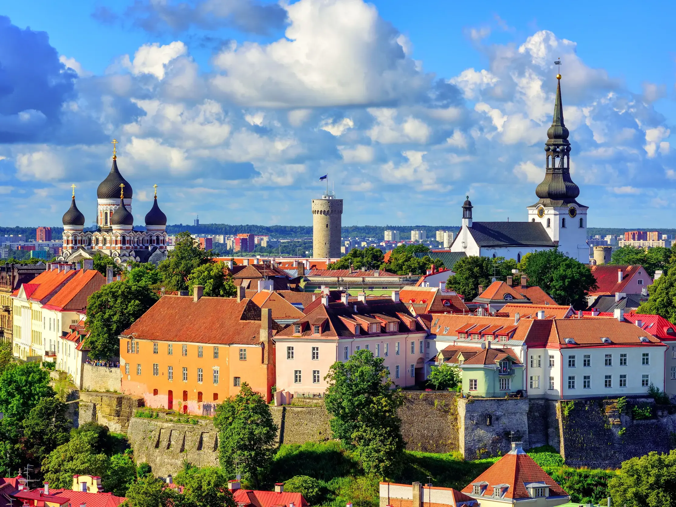 Mittelalterliche Altstadt von Tallinn mit gotischen Fassaden, Wehrtürmen wie dem Langen Hermann und Kirchen unter blauem Himmel.