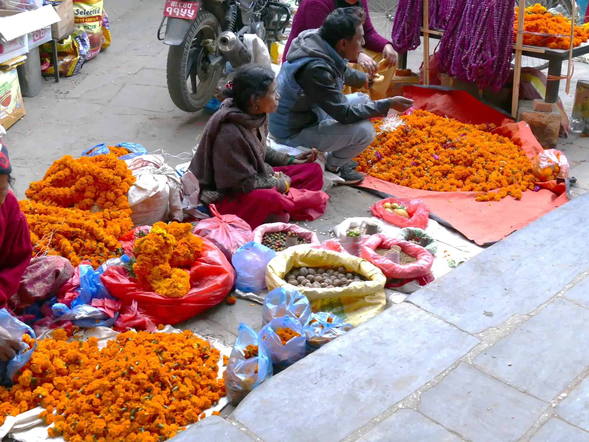 Nepalesische Händlerinnen sitzen auf einem Markt in Kathmandu und fertigen Girlanden aus leuchtend orangen Ringelblumen.